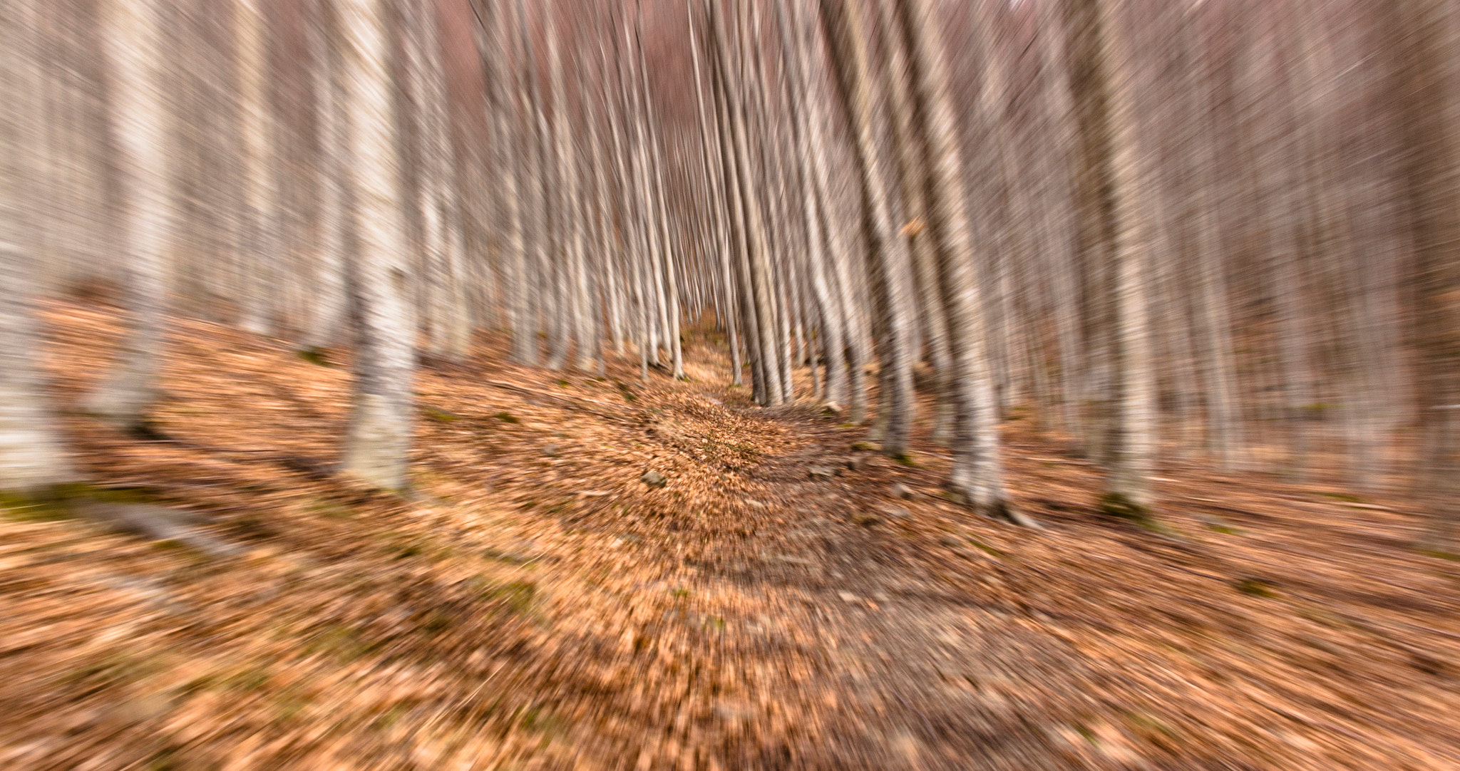 Canon EF 75-300mm F4.0-5.6 IS USM sample photo. Vertigo speedy trail photography