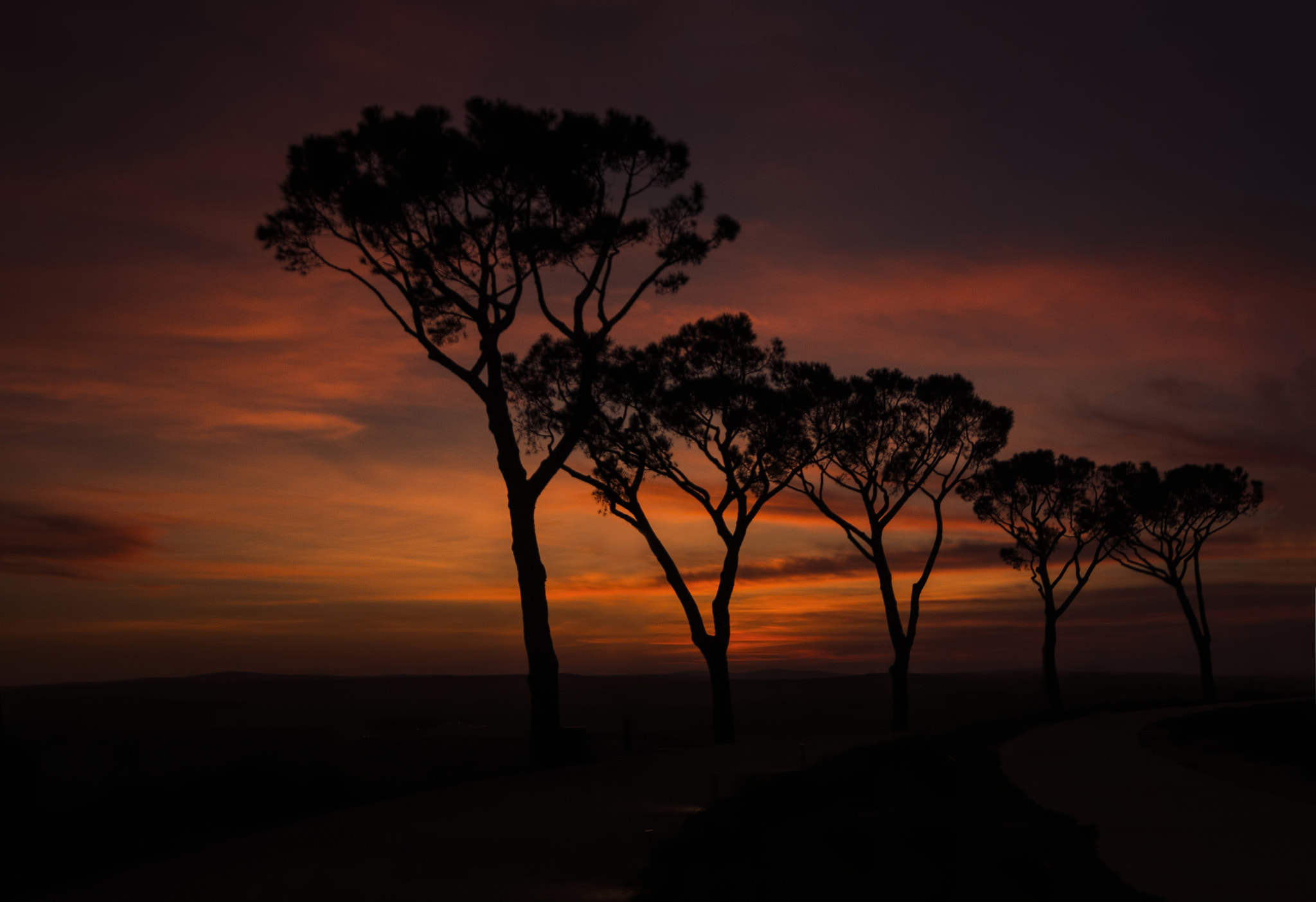 Canon EOS 600D (Rebel EOS T3i / EOS Kiss X5) sample photo. Castel del monte photography