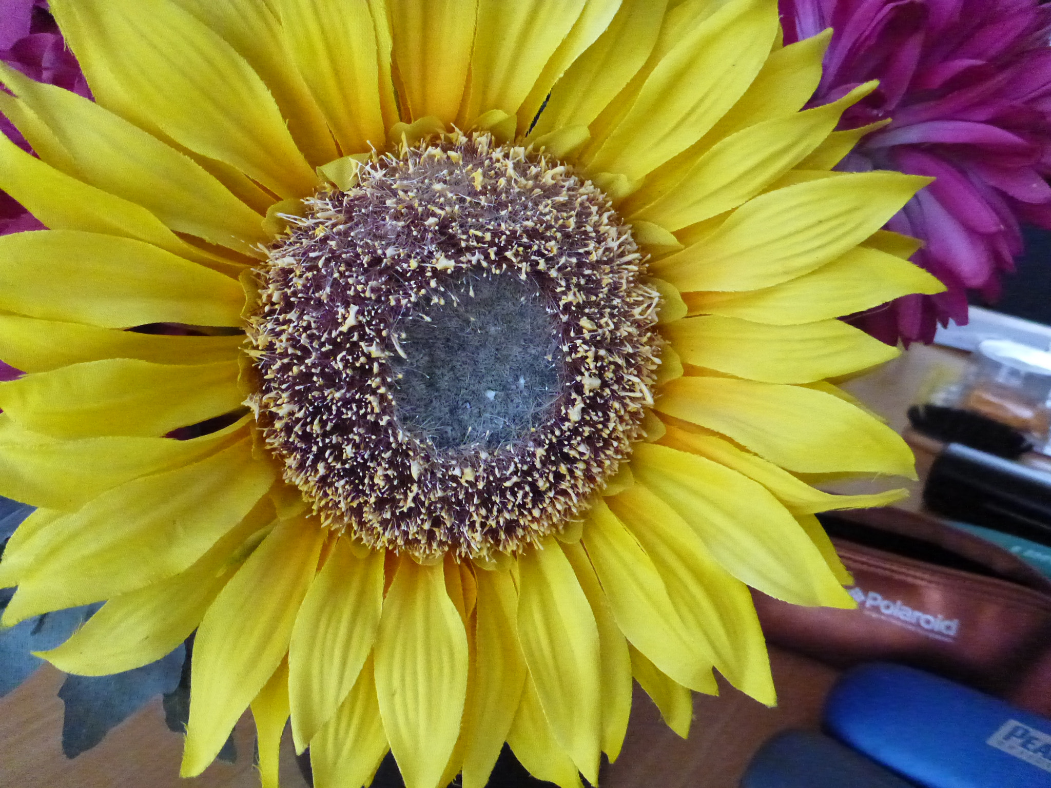 Panasonic DMC-FT4 sample photo. Sunflower photography
