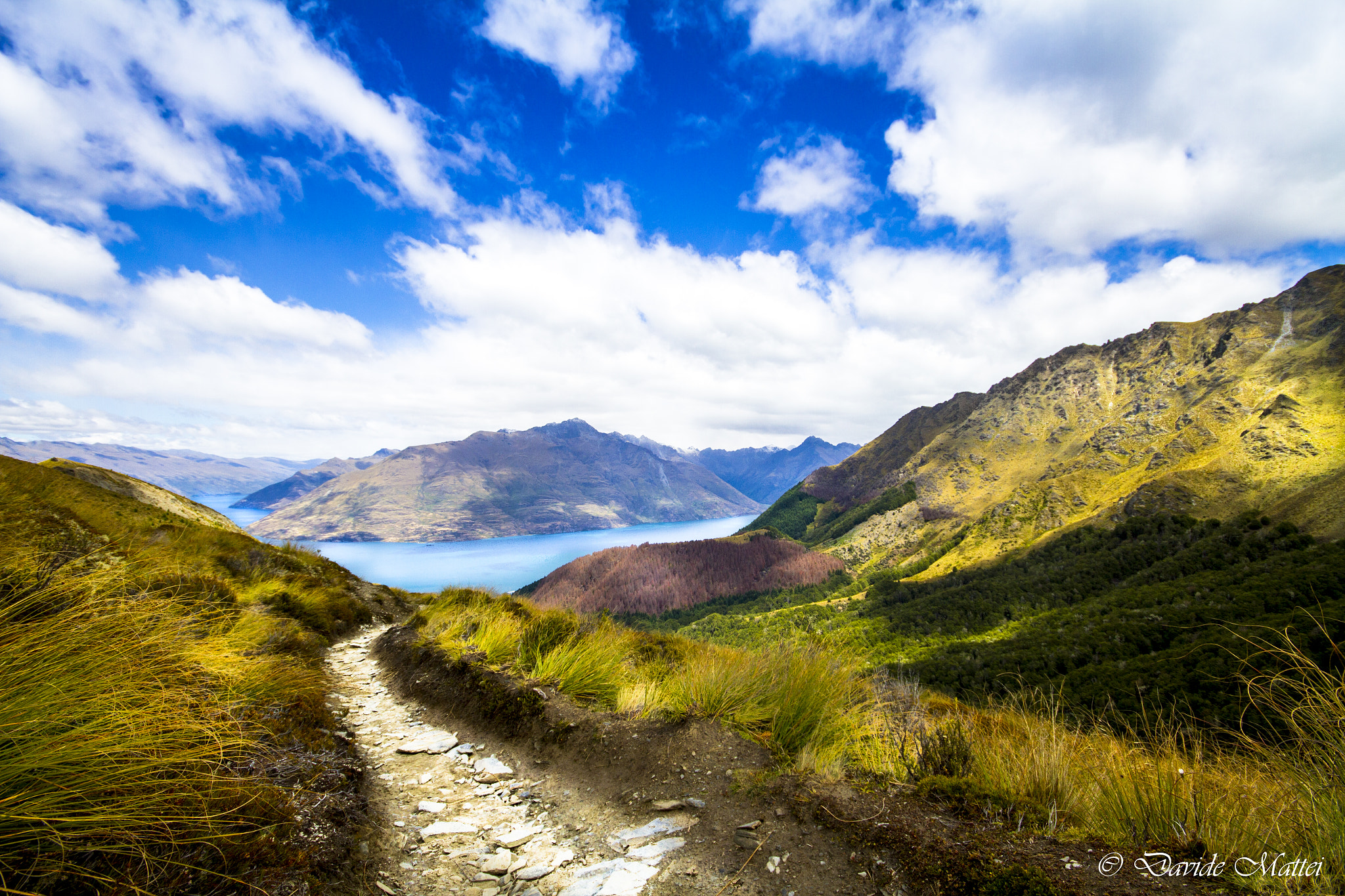 Canon EOS 7D sample photo. View from queenstown hill photography