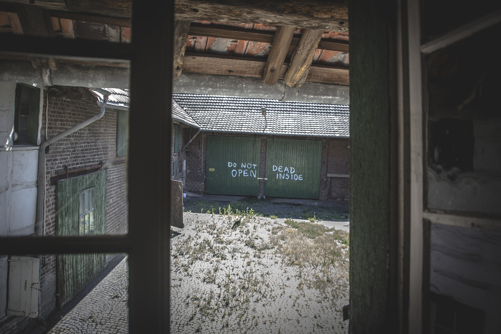 Sigma 18-250mm F3.5-6.3 DC OS HSM sample photo. My rick grimes experience photography