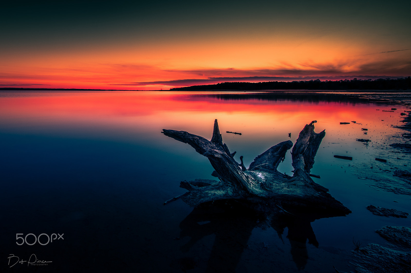 Canon EF-S 10-22mm F3.5-4.5 USM sample photo. Sardis driftwood photography