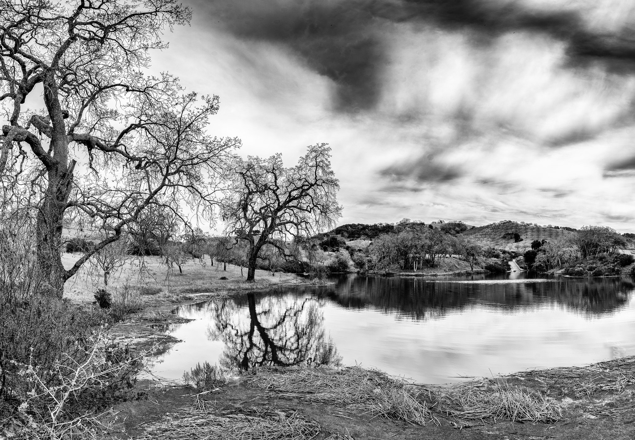 E 21mm F2.8 sample photo. Black and white pond photography