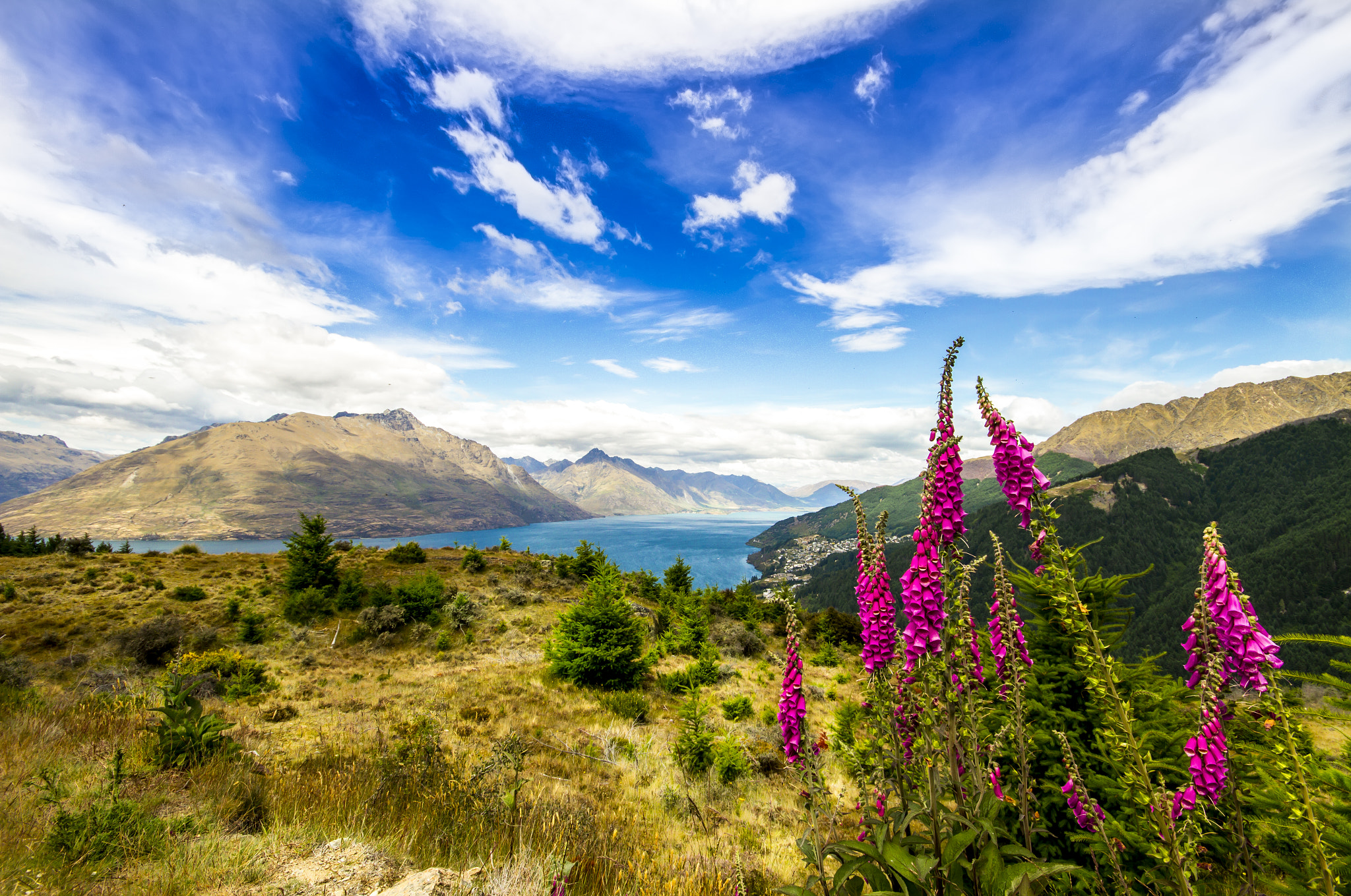 Canon EOS 7D + Sigma 10-20mm F4-5.6 EX DC HSM sample photo. Queenstown hill photography