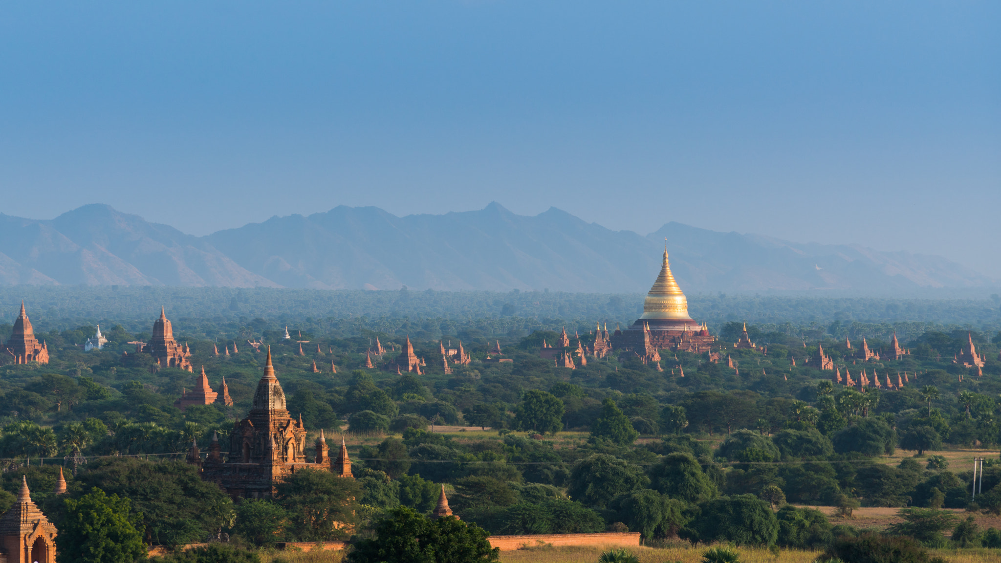 Sony a7R II sample photo. Golden pagoda field photography