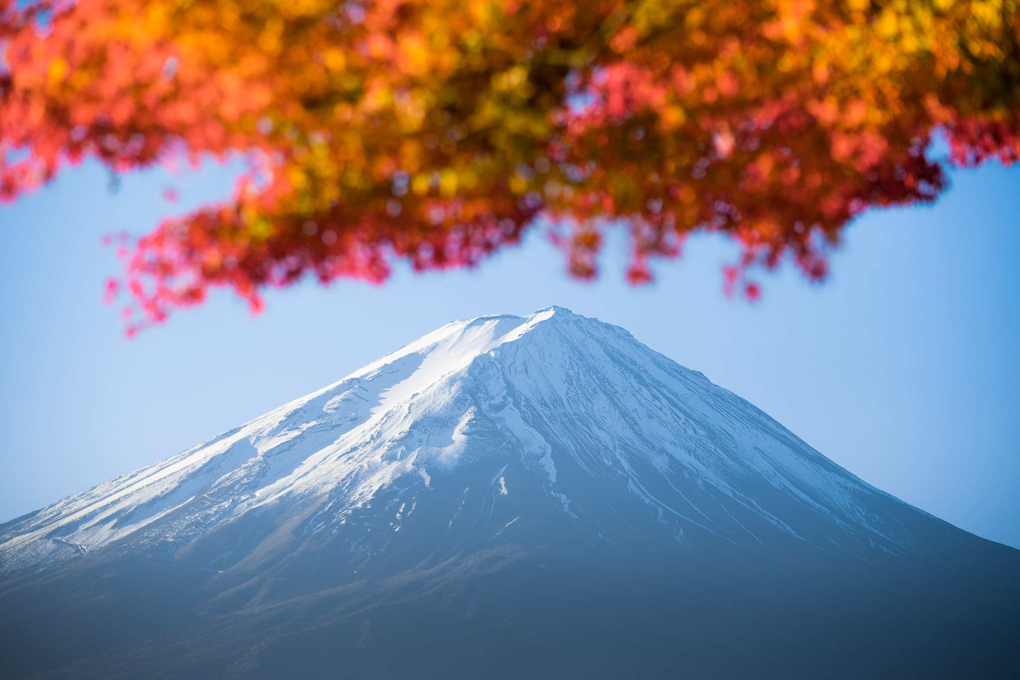 Sony FE 70-200mm F2.8 GM OSS sample photo. Red maple leaves mount fuji photography