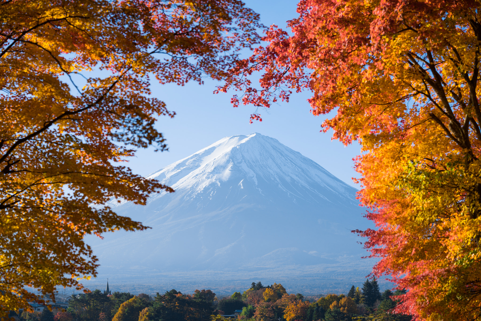 Sony FE 85mm F1.4 GM sample photo. Red maple leaves mount fuji photography