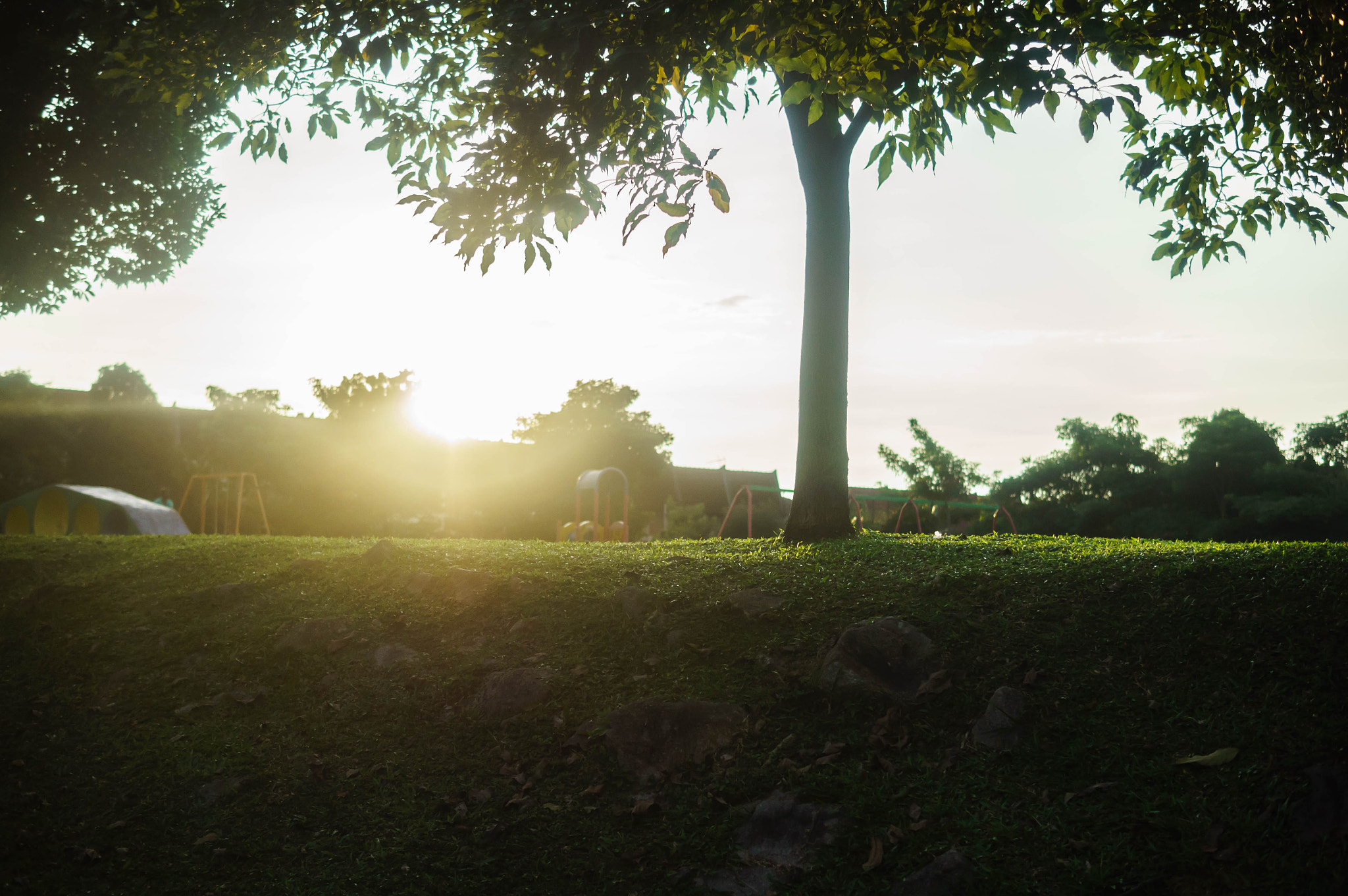Sony Alpha NEX-C3 + Sigma 30mm F1.4 DC DN | C sample photo. Dawn photography
