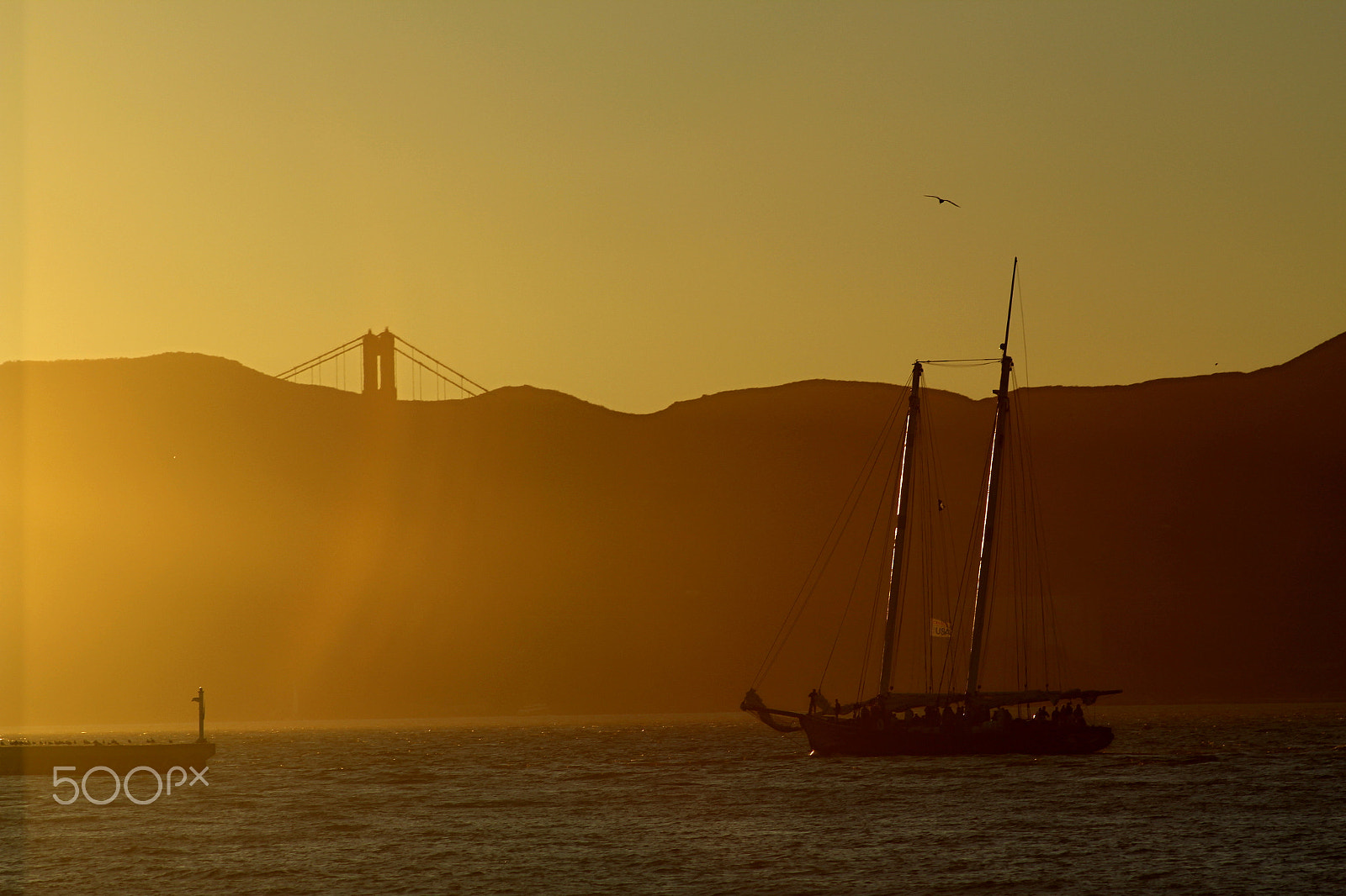 Canon EOS 600D (Rebel EOS T3i / EOS Kiss X5) + EF75-300mm f/4-5.6 sample photo. Golden gate bridge photography