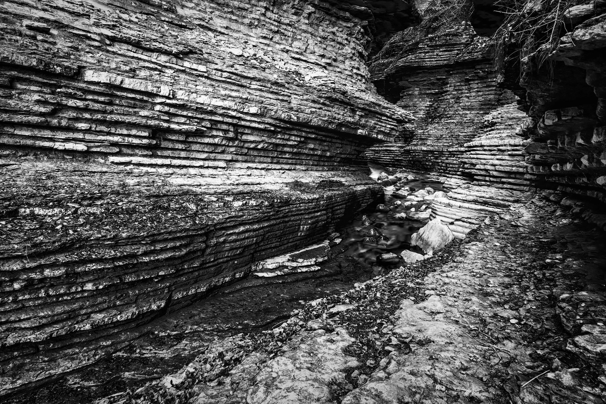 Canon EOS 750D (EOS Rebel T6i / EOS Kiss X8i) sample photo. Brent de l'art photography
