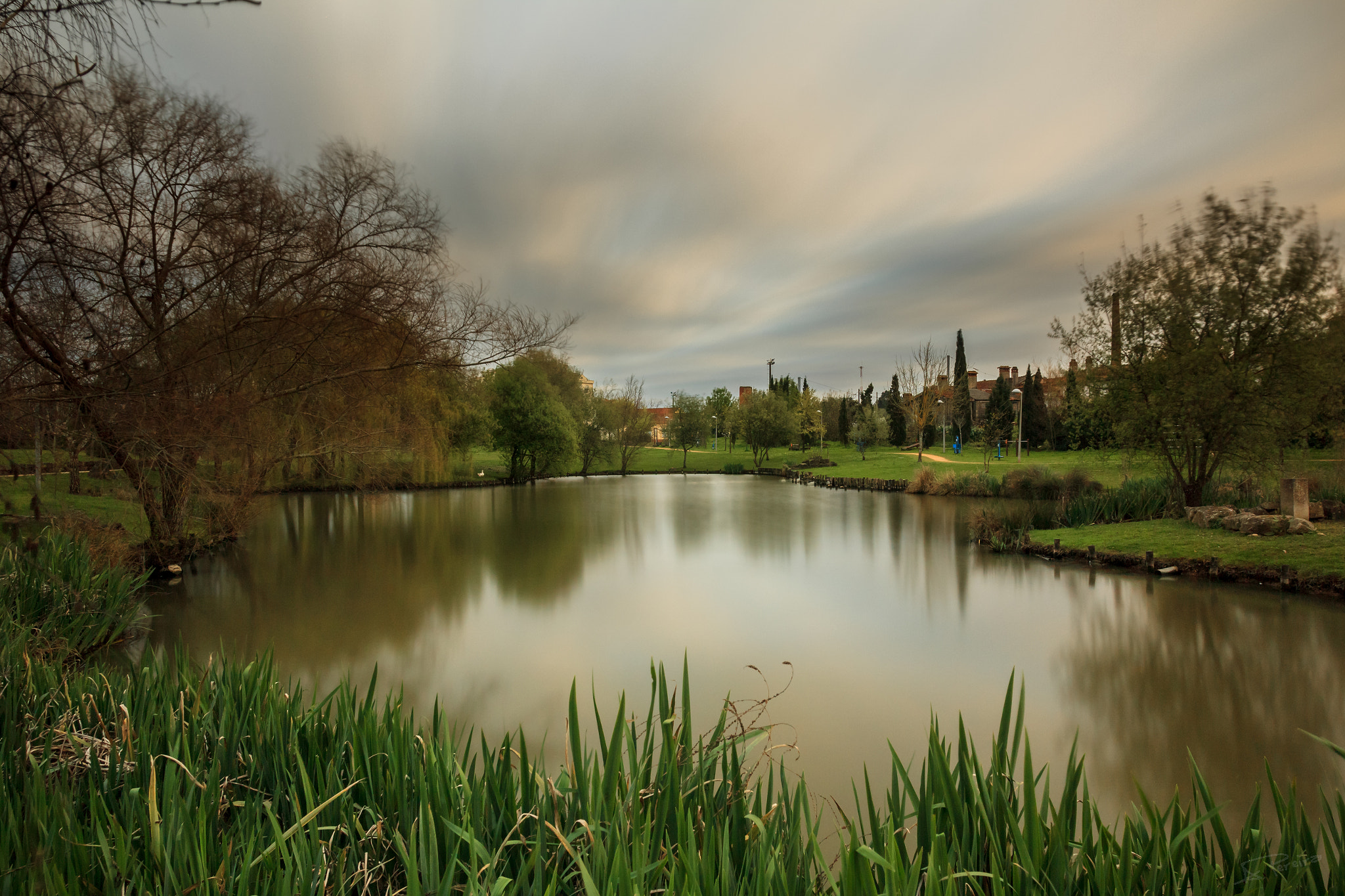 Canon EOS 1200D (EOS Rebel T5 / EOS Kiss X70 / EOS Hi) sample photo. A little walk on the garden photography