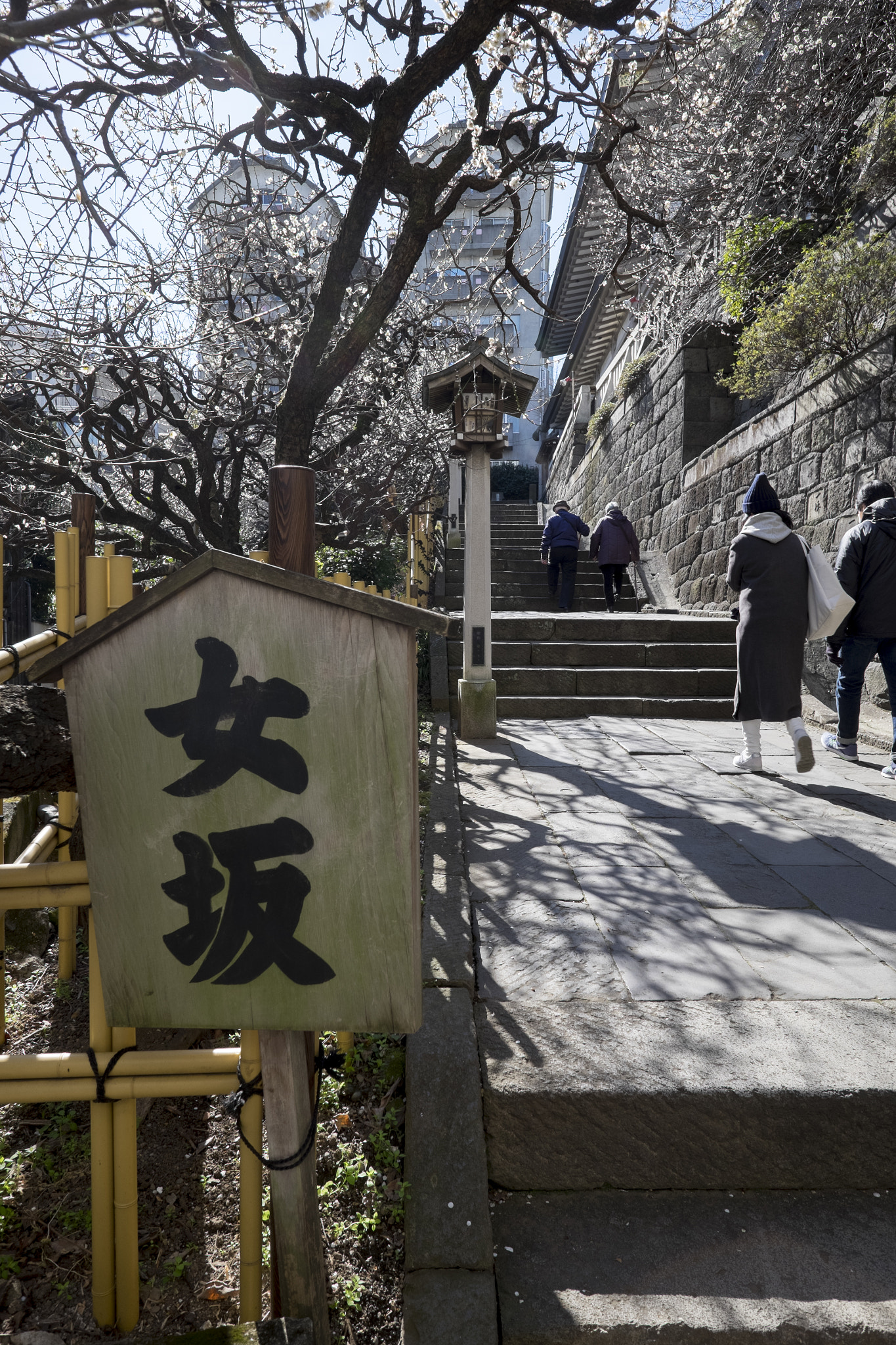 Fujifilm X-T1 sample photo. Tokyo.文京区湯島　湯島天神女坂 photography