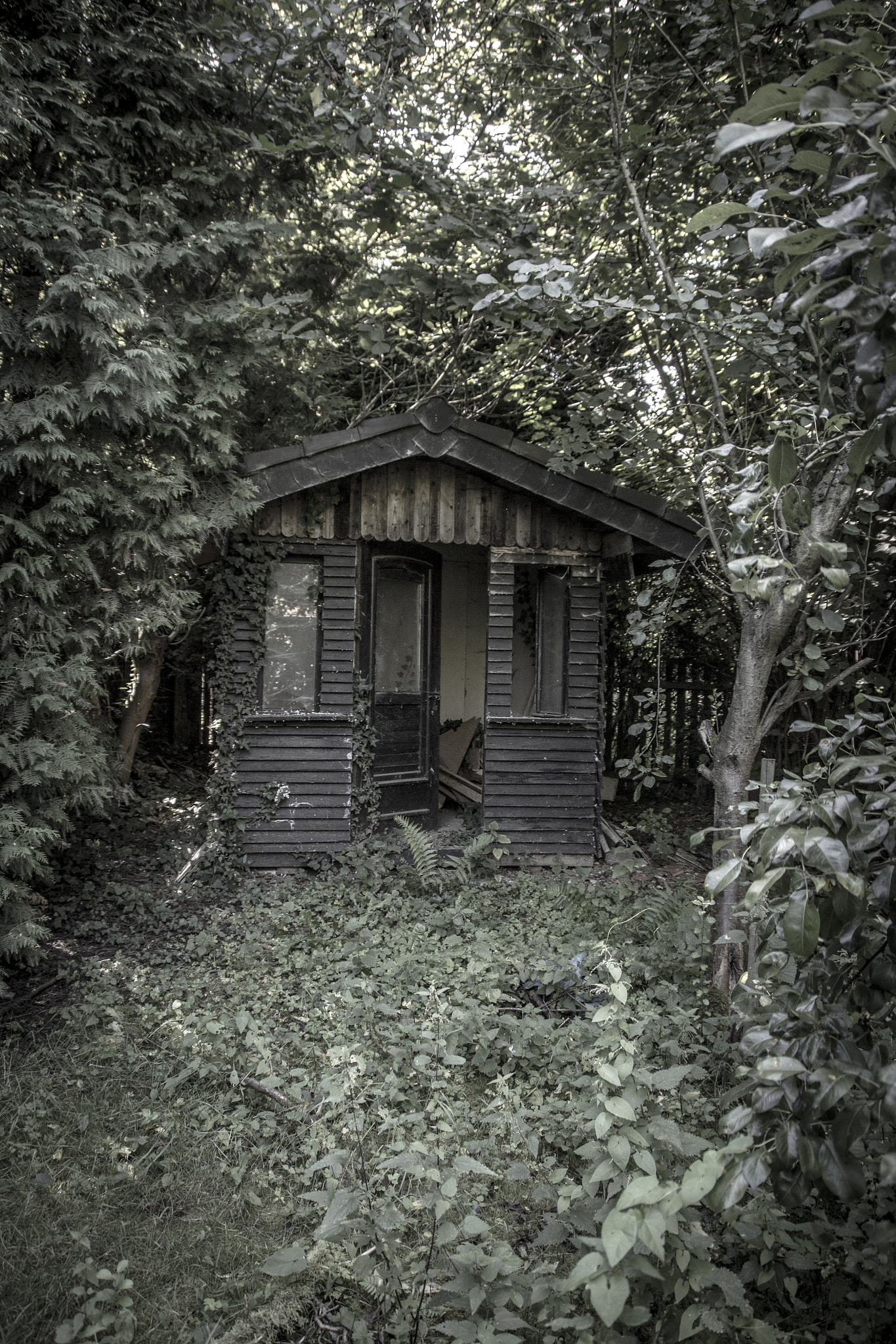 Sigma 18-250mm F3.5-6.3 DC OS HSM sample photo. Stranger things photography