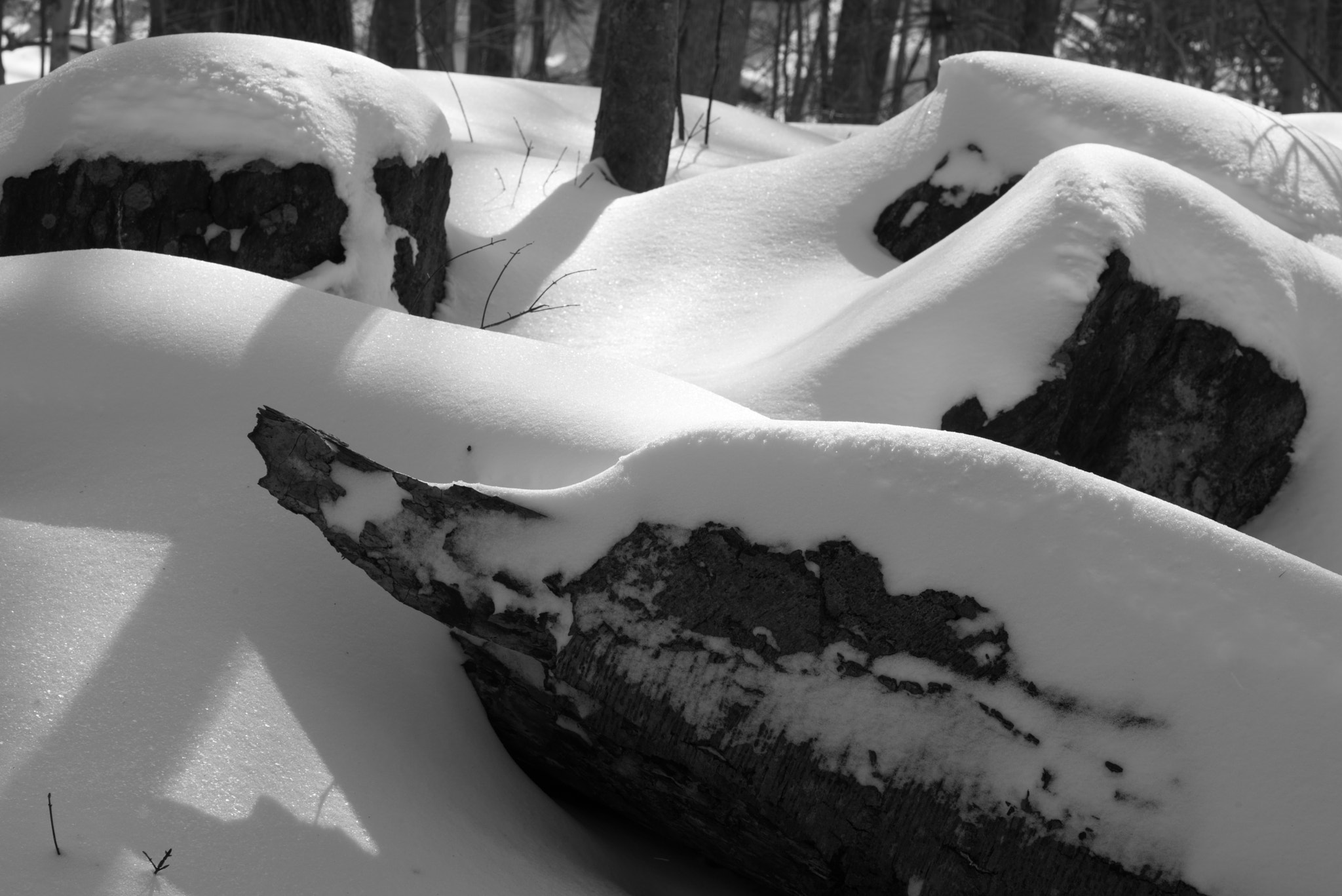 Pentax K-1 sample photo. Stones and log under snow photography