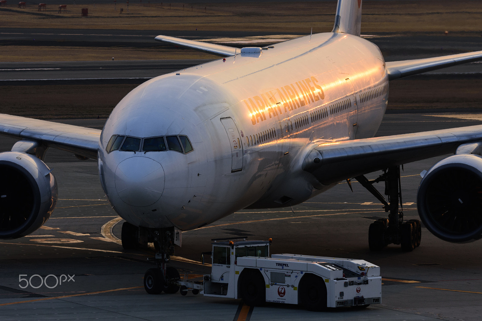 Sigma 150-600mm F5-6.3 DG OS HSM | C sample photo. Senset departure photography