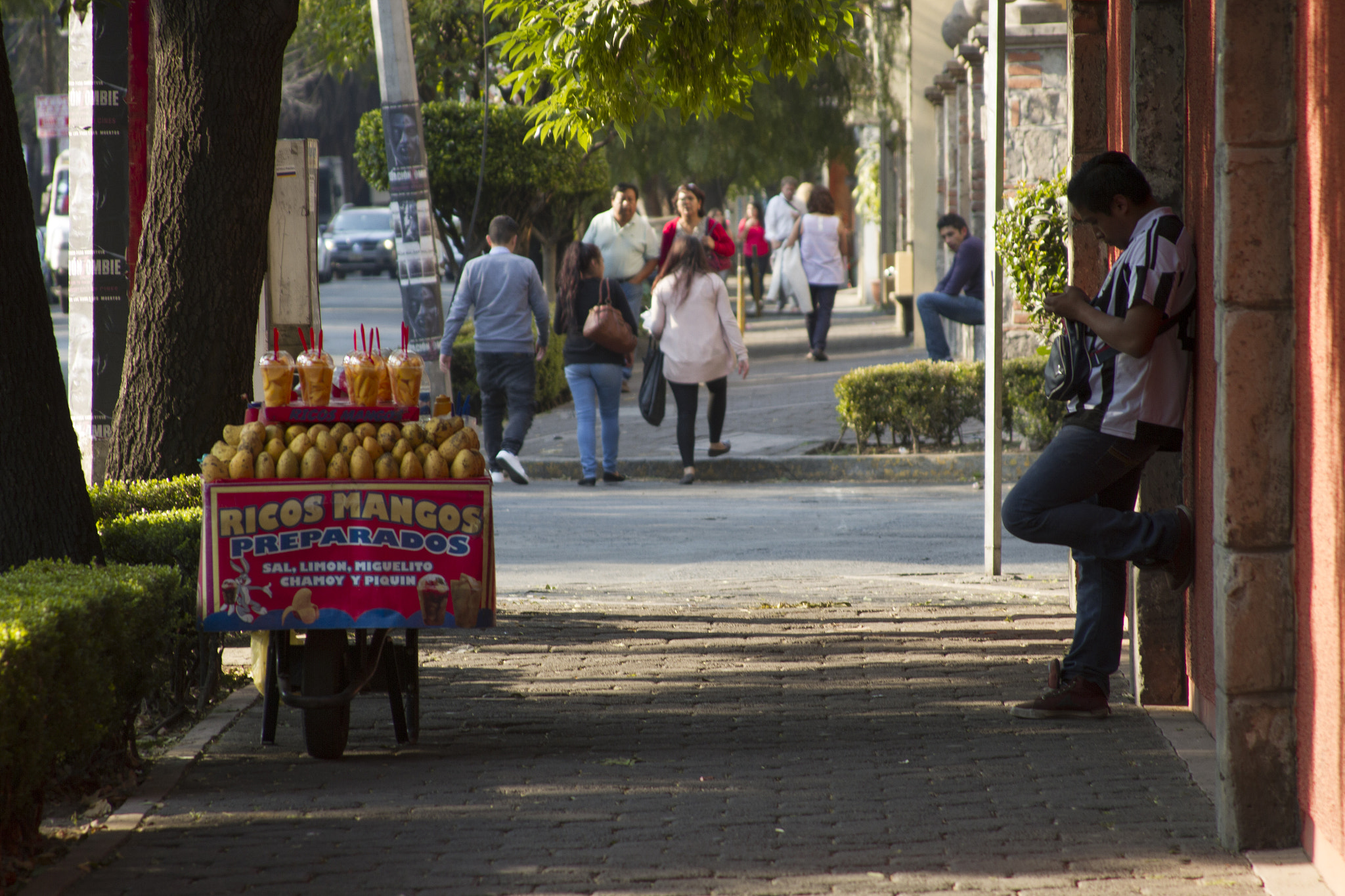 Canon EF 28-135mm F3.5-5.6 IS USM sample photo. Snack photography