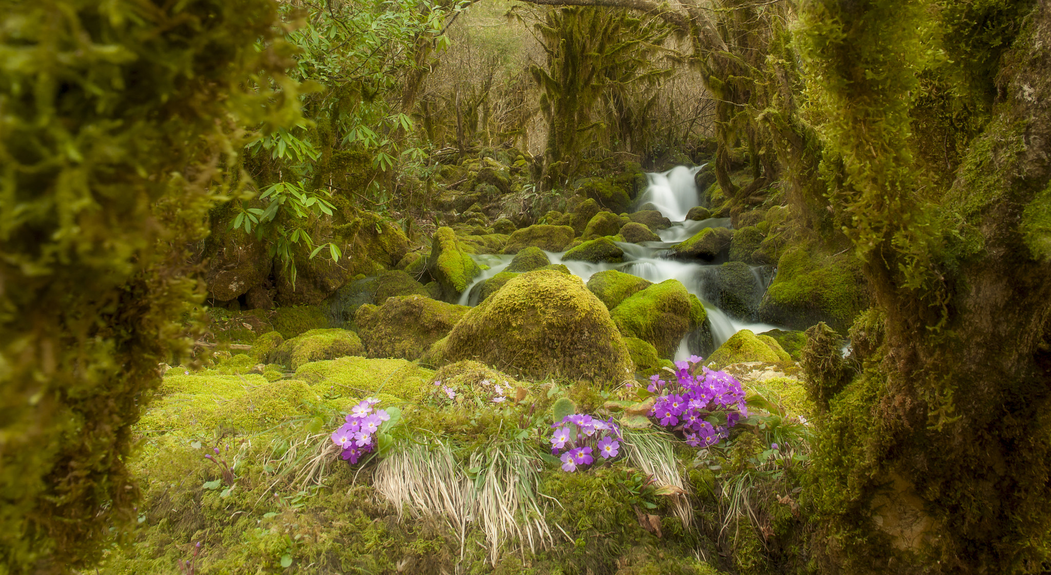 Nikon D3 sample photo. Spring time photography