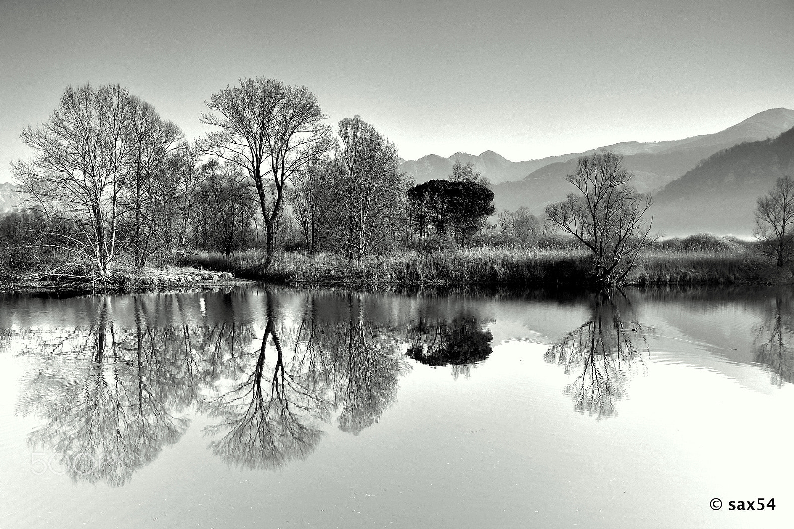 Nikon D500 sample photo. The river photography