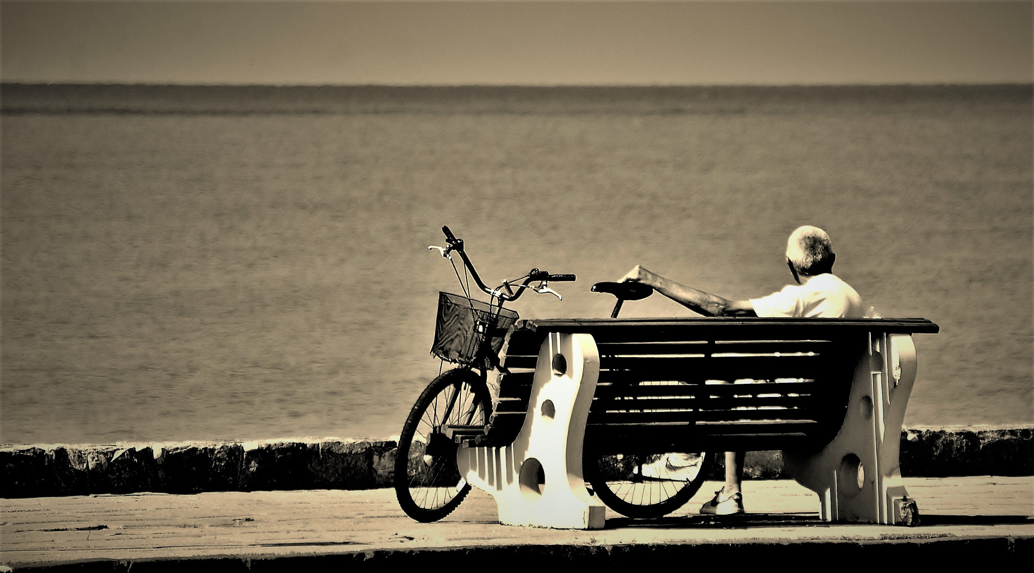 Nikon D60 sample photo. The old man and the sea! photography