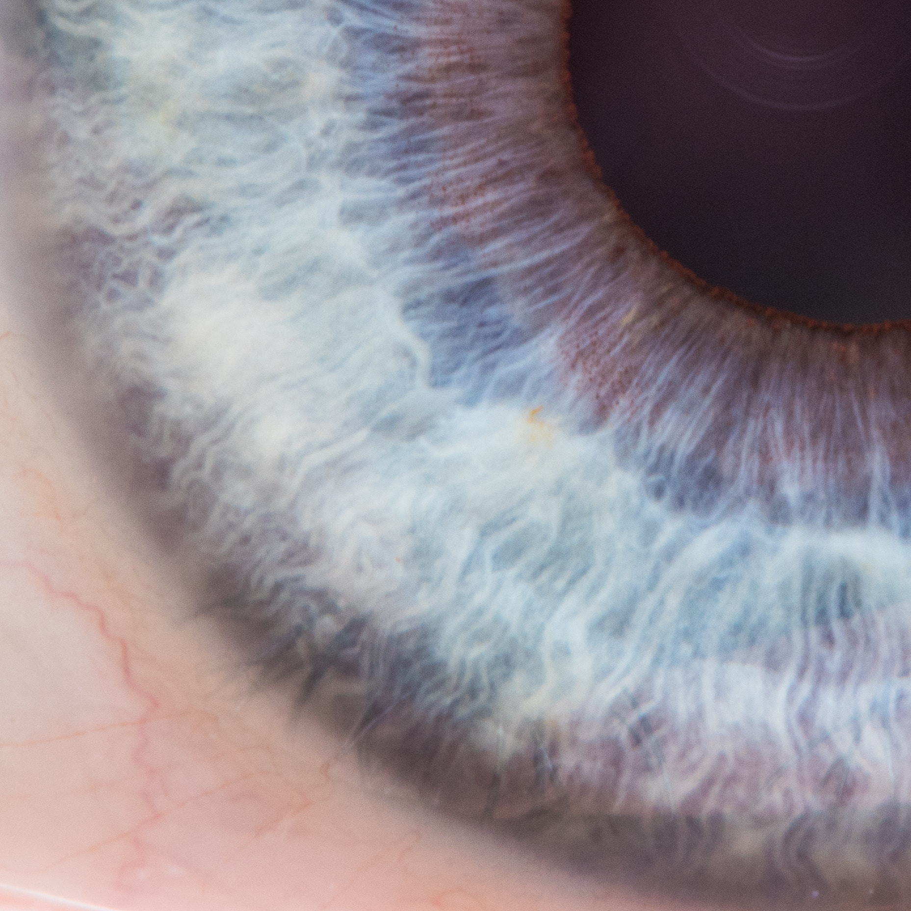 Sigma 105mm F2.8 EX DG OS HSM sample photo. Blue waves photography