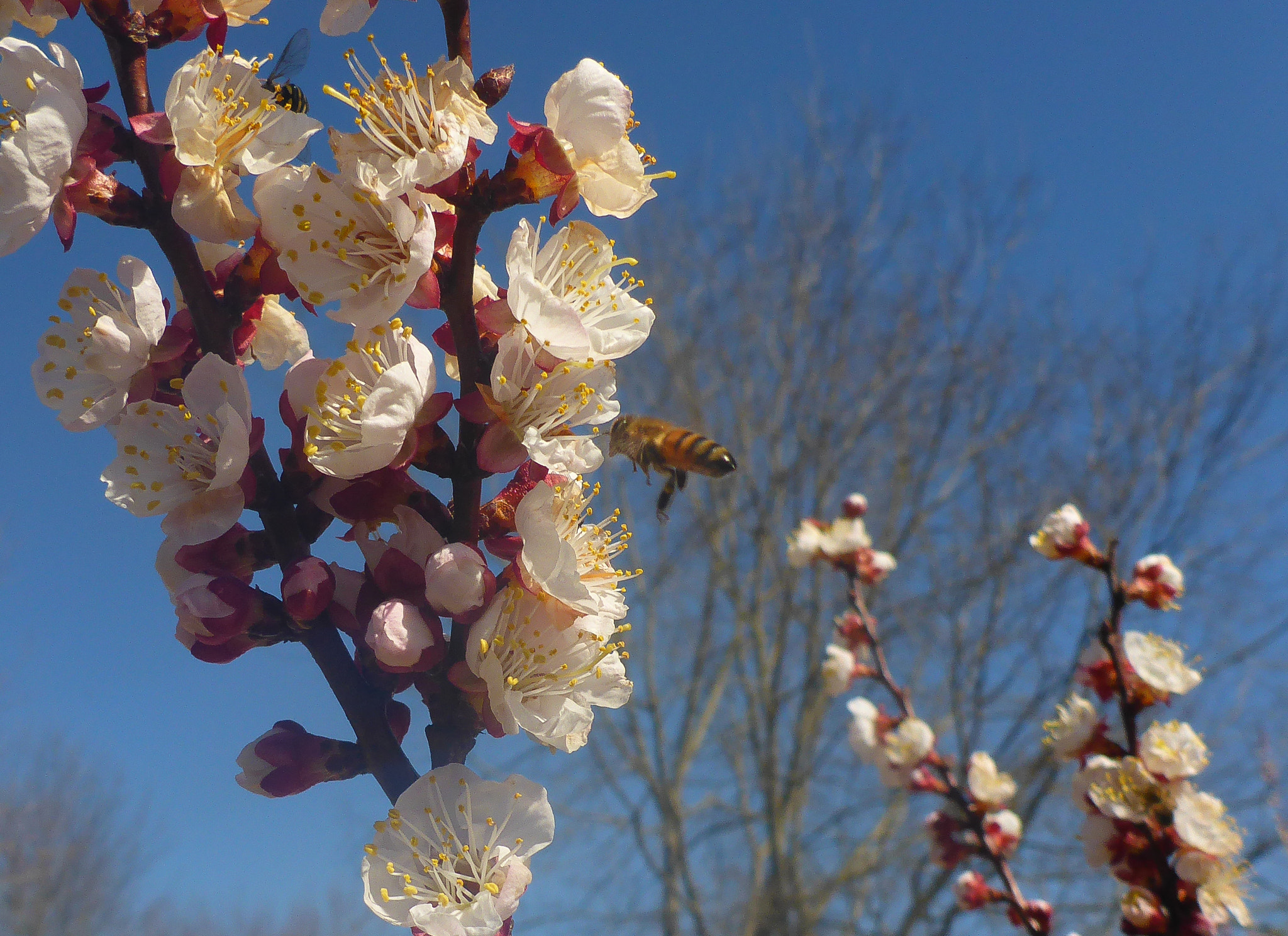 Panasonic Lumix DMC-TS5 (Lumix DMC-FT5) sample photo. 700-67.jpg photography