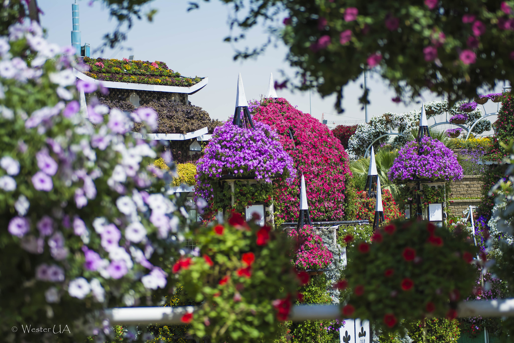 Nikon AF-S Nikkor 24-70mm F2.8G ED sample photo. Summer photography