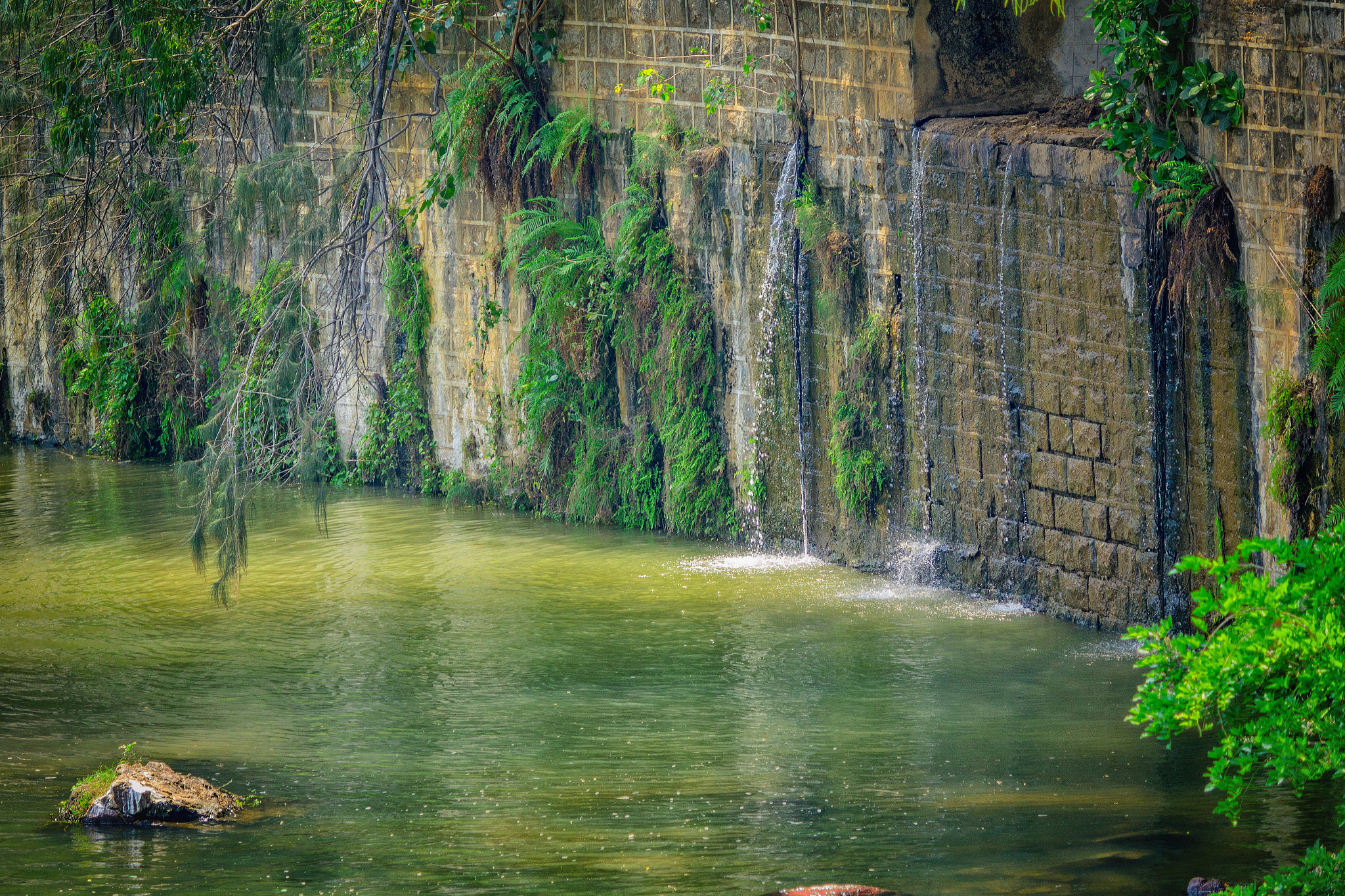 Canon EF-S 55-250mm F4-5.6 IS II sample photo. Ancient mystic waters photography