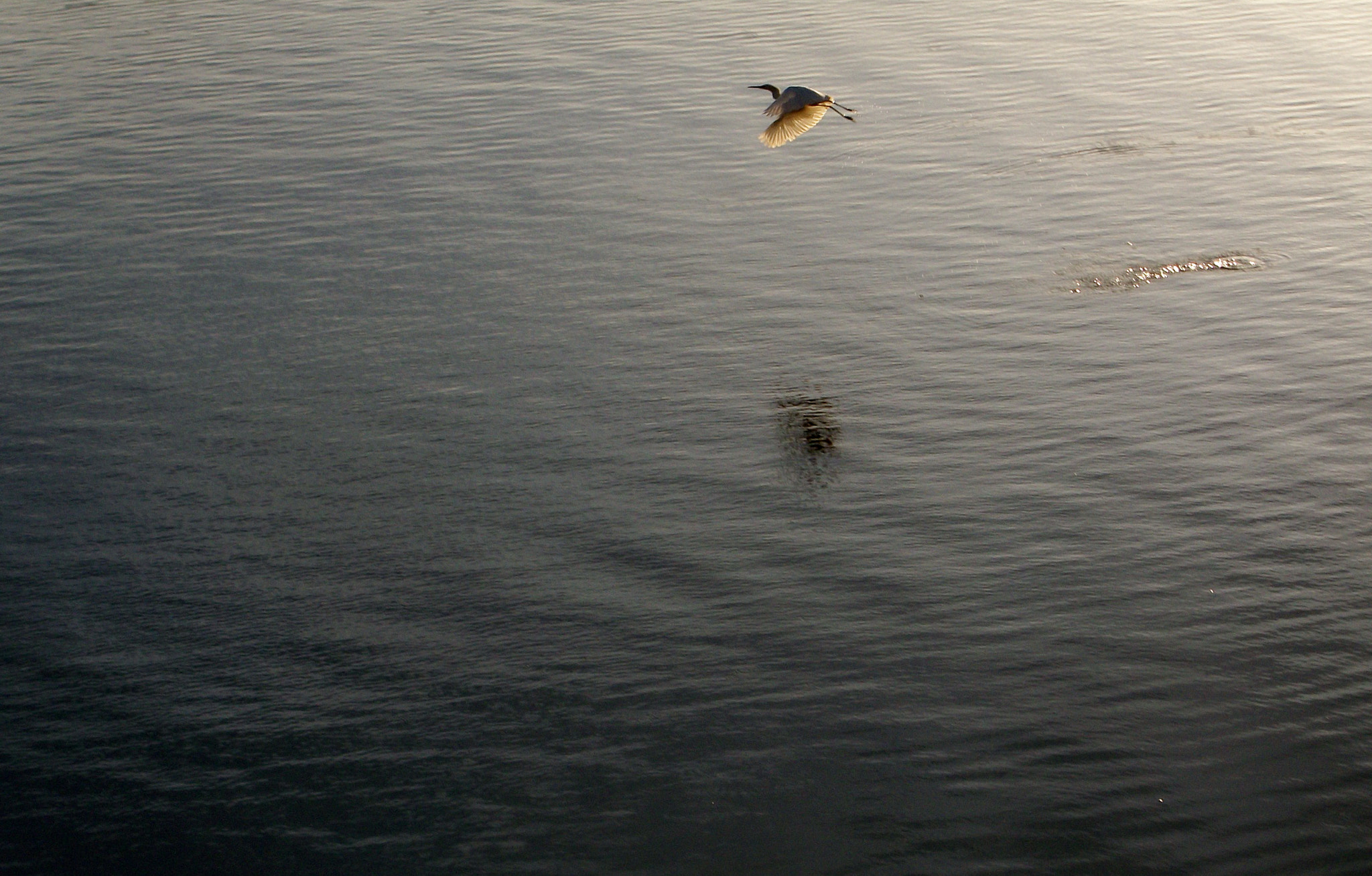 Kodak EASYSHARE M340 DIGITAL CAMERA sample photo. Flight photography