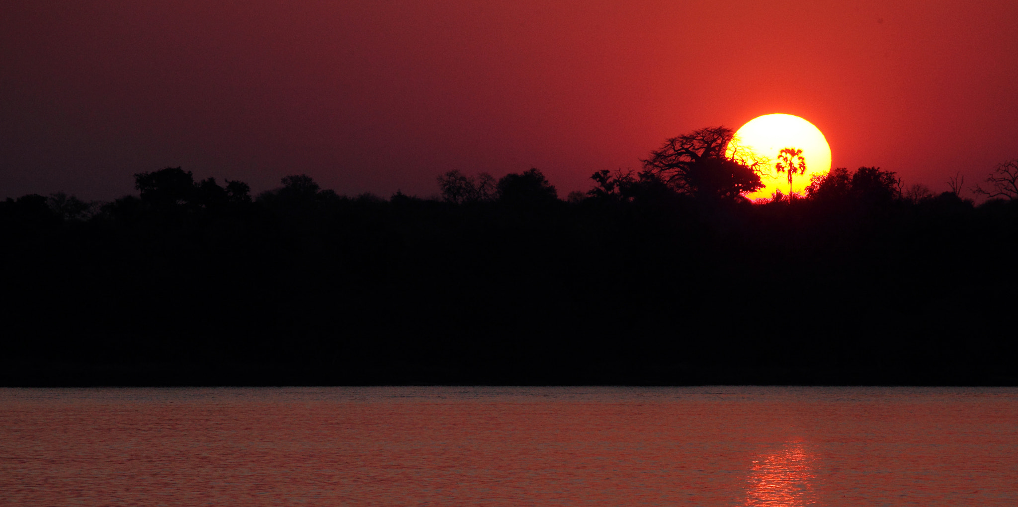 Canon EF 100-400mm F4.5-5.6L IS USM sample photo. Sunset photography