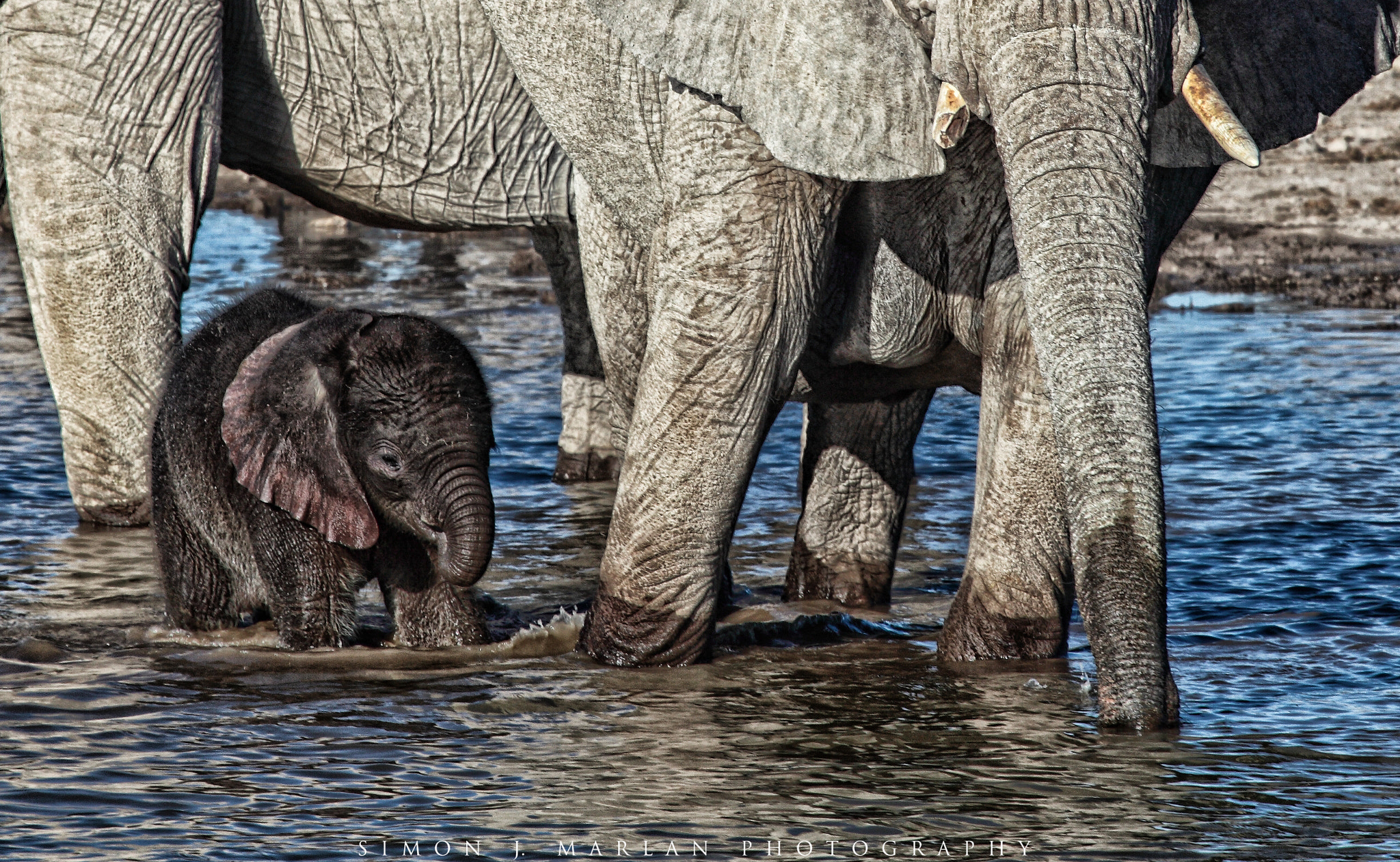 Canon EF 100-400mm F4.5-5.6L IS USM sample photo. Bathtime photography