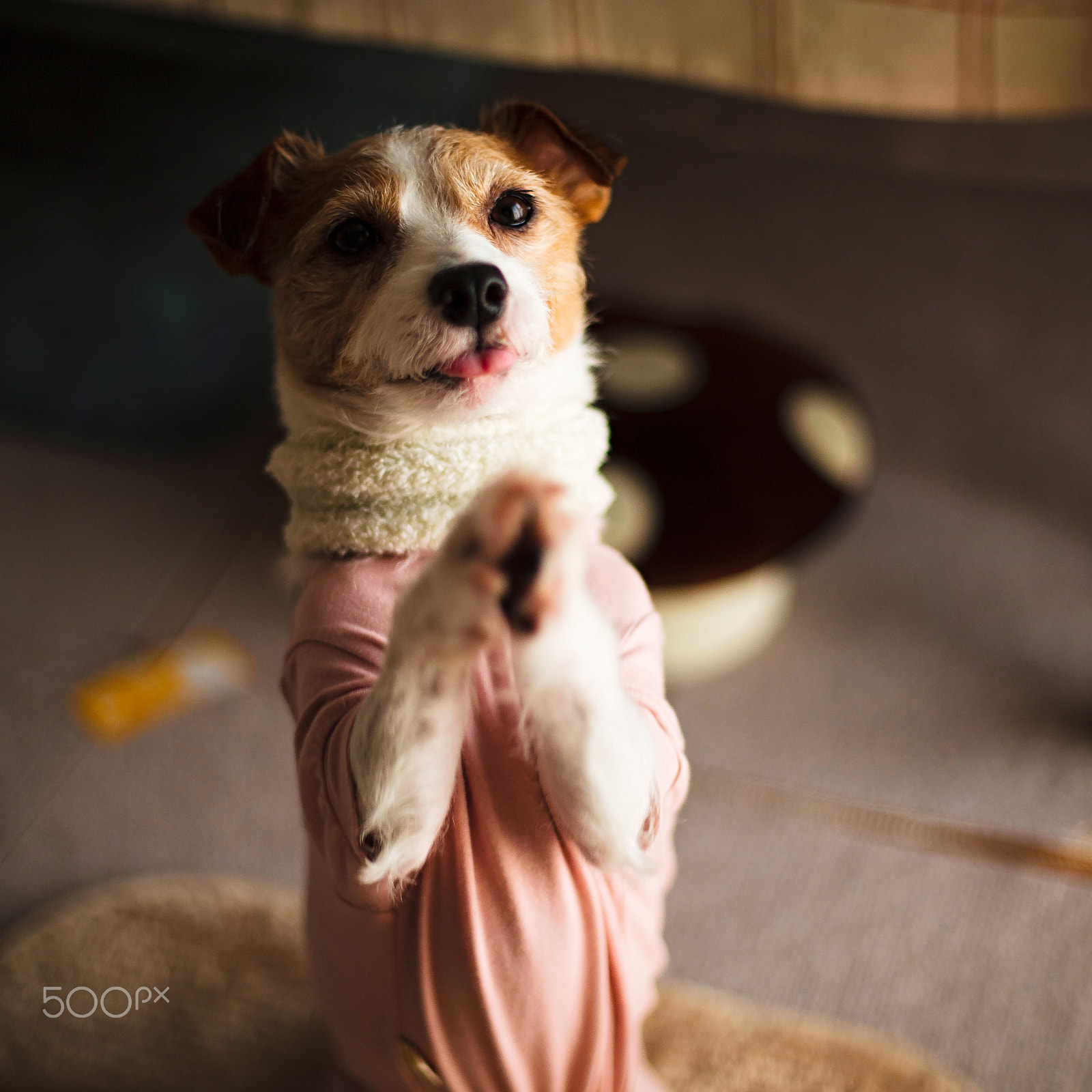 Canon EOS 5DS R sample photo. Clap your hands say yeah! photography
