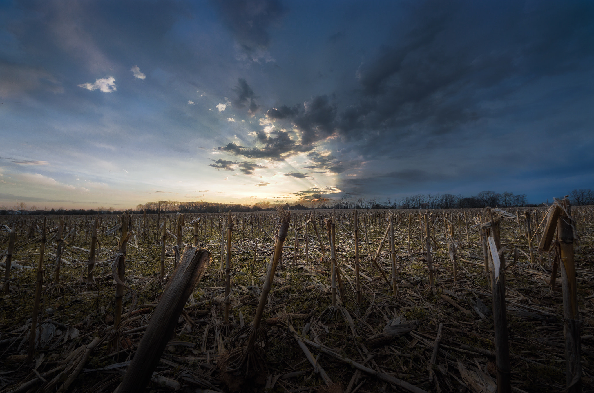 Sigma 8-16mm F4.5-5.6 DC HSM sample photo. Before the storm photography