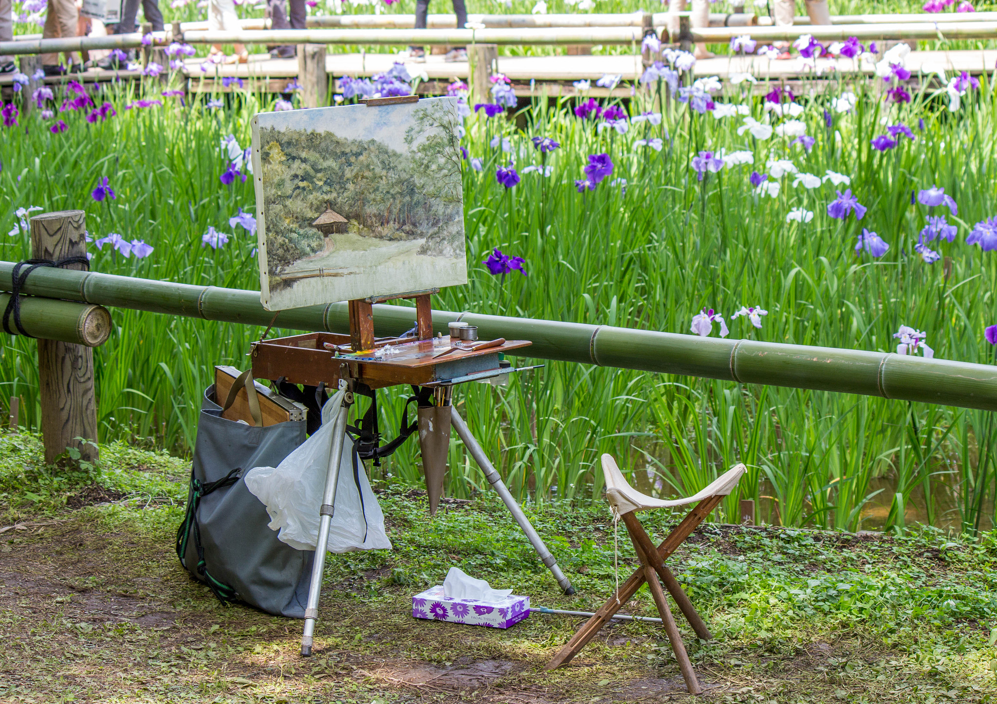 Canon EOS 650D (EOS Rebel T4i / EOS Kiss X6i) sample photo. A painter was working on this at the meiji shrine garden in tokyo, japan photography