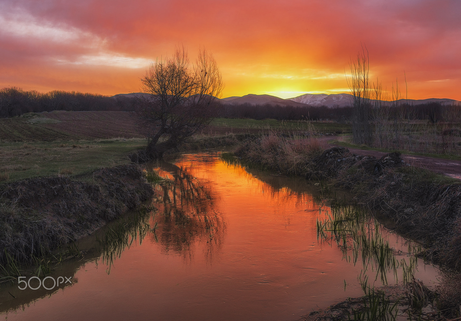 Tamron SP 15-30mm F2.8 Di VC USD sample photo. Sunrise dream photography