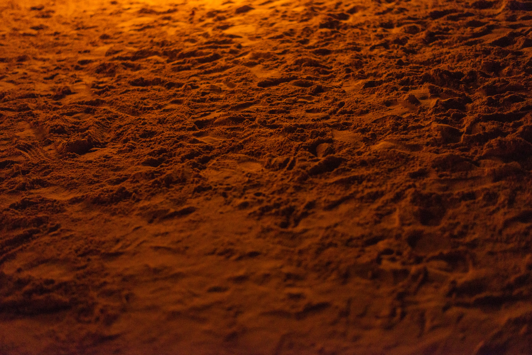Nikon D610 sample photo. Sand at night photography