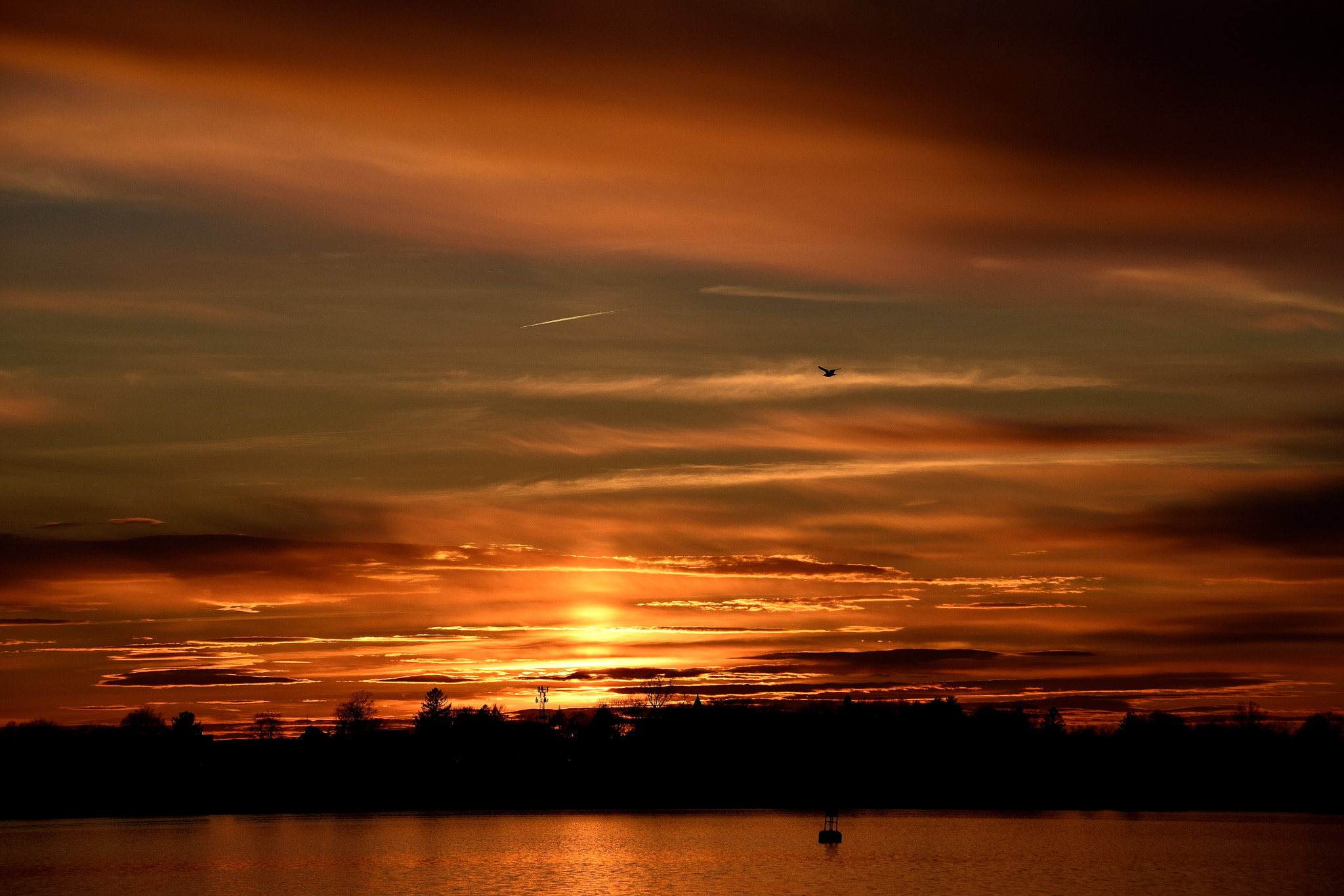 Sigma 18-250mm F3.5-6.3 DC Macro OS HSM sample photo. Sunset gold photography