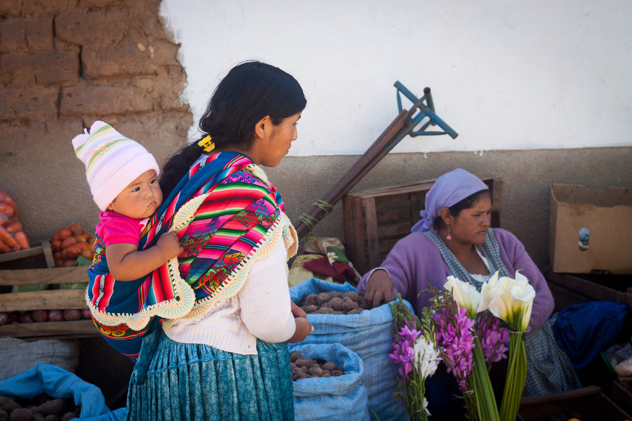 Canon EOS 50D + Canon EF 50mm F1.8 II sample photo. Santa cruz, bolivia photography
