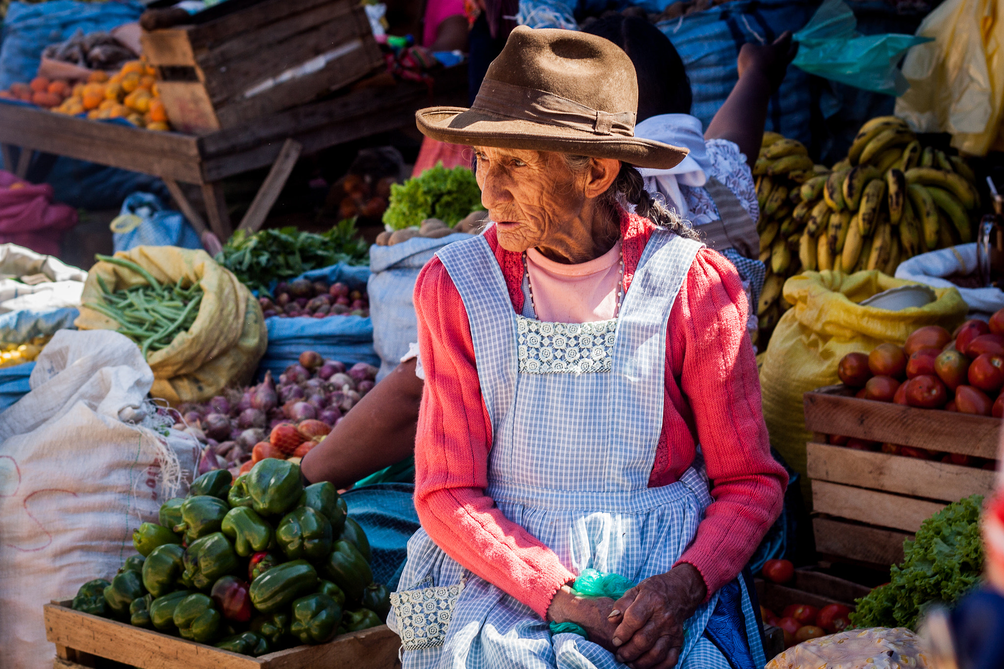 Canon EOS 50D + Canon EF 50mm F1.8 II sample photo. Santa cruz, bolivia photography