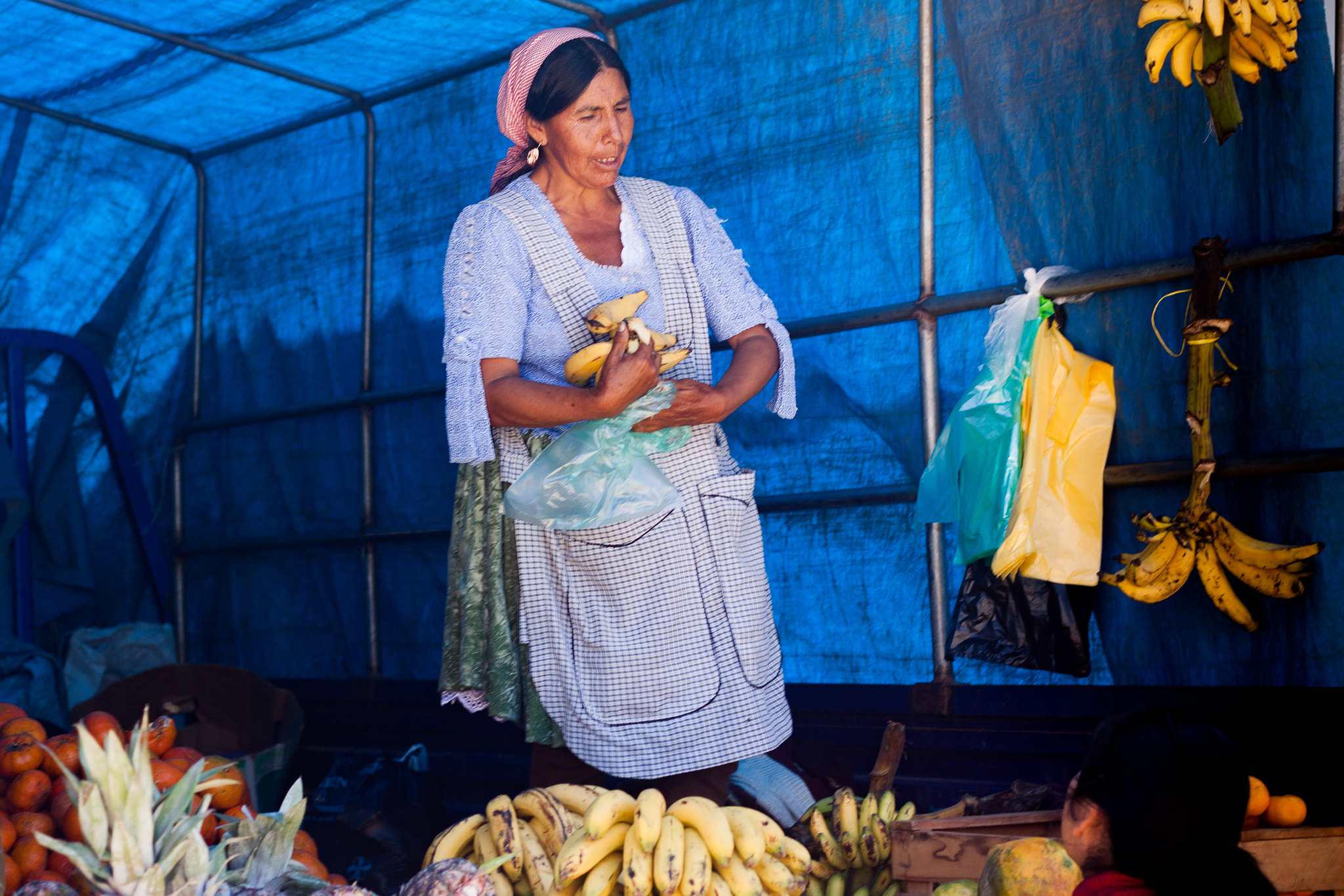Canon EOS 50D + Canon EF 50mm F1.8 II sample photo. Santa cruz, bolivia photography