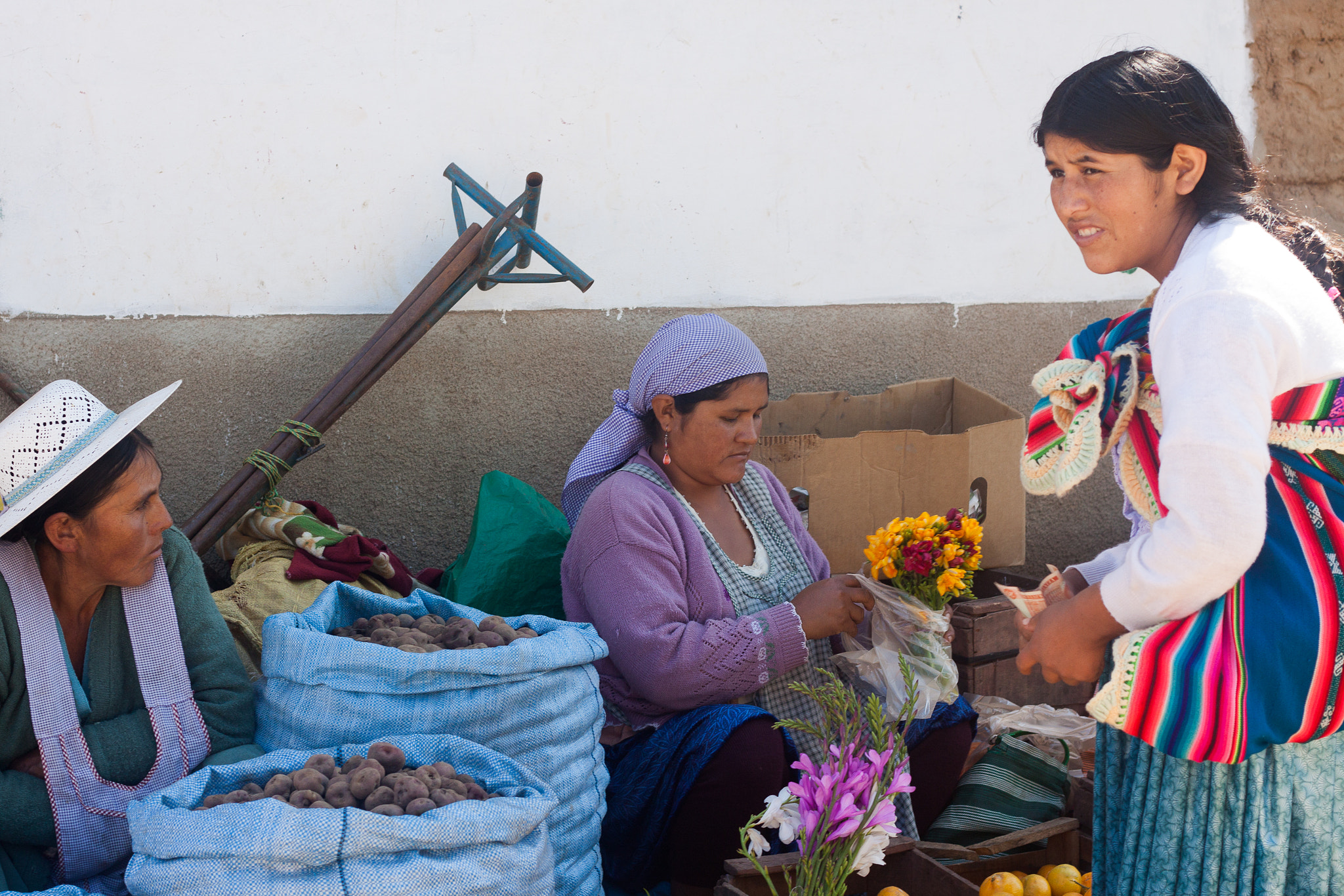Canon EOS 50D + Canon EF 50mm F1.8 II sample photo. Santa cruz, bolivia photography