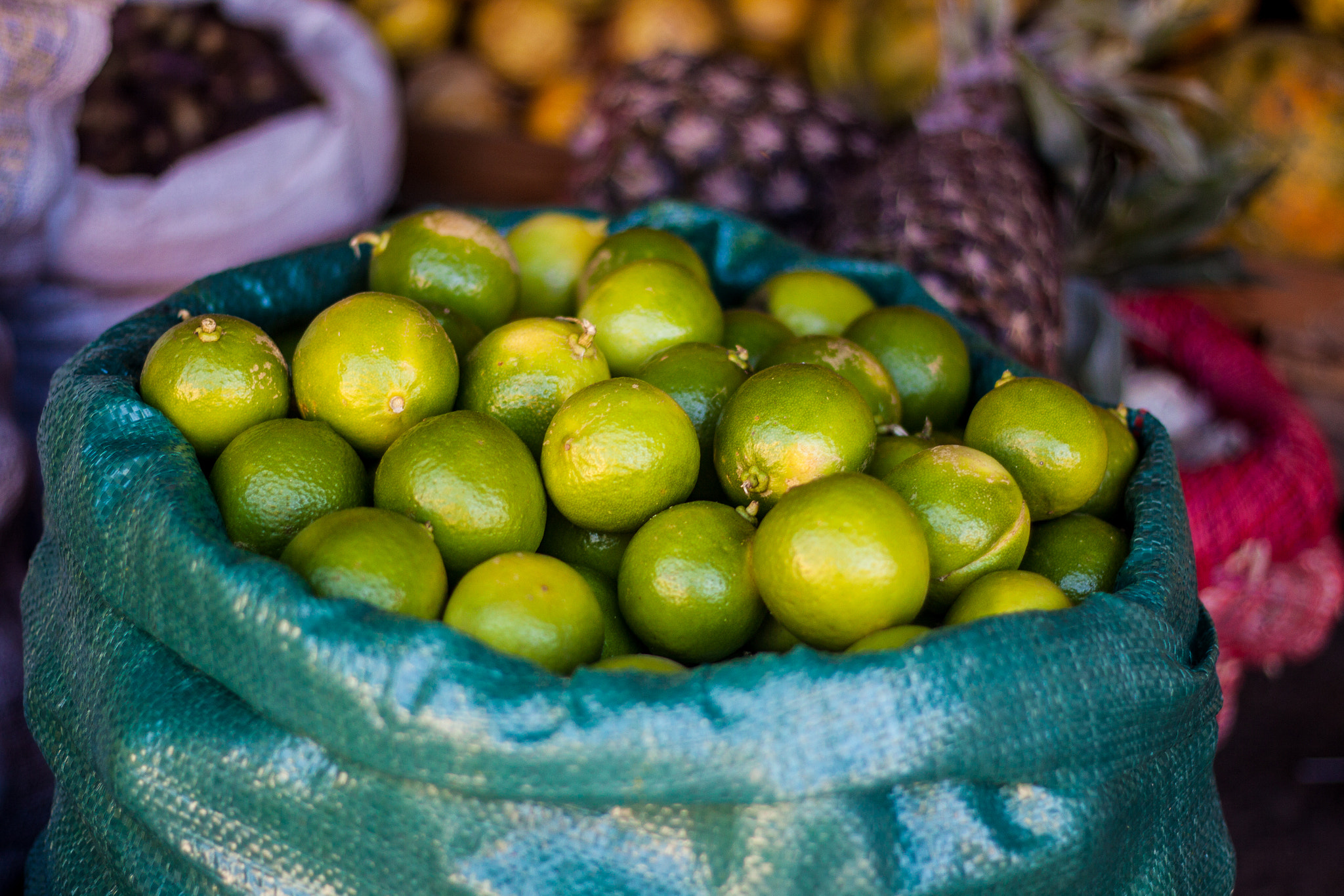 Canon EOS 50D + Canon EF 50mm F1.8 II sample photo. Santa cruz, bolivia photography