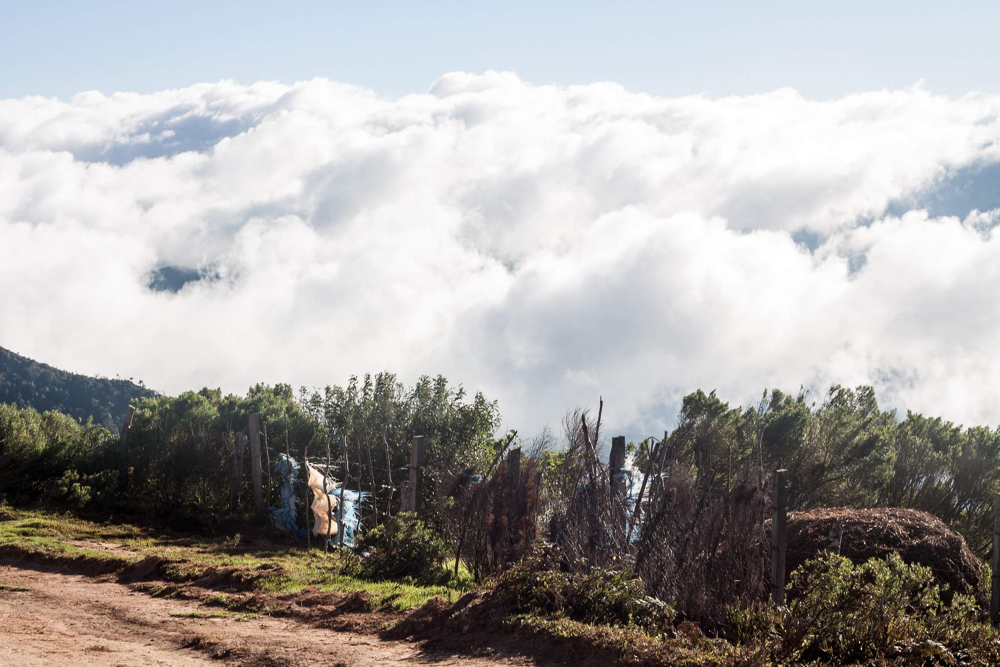 Canon EOS 50D sample photo. Santa cruz, bolivia photography