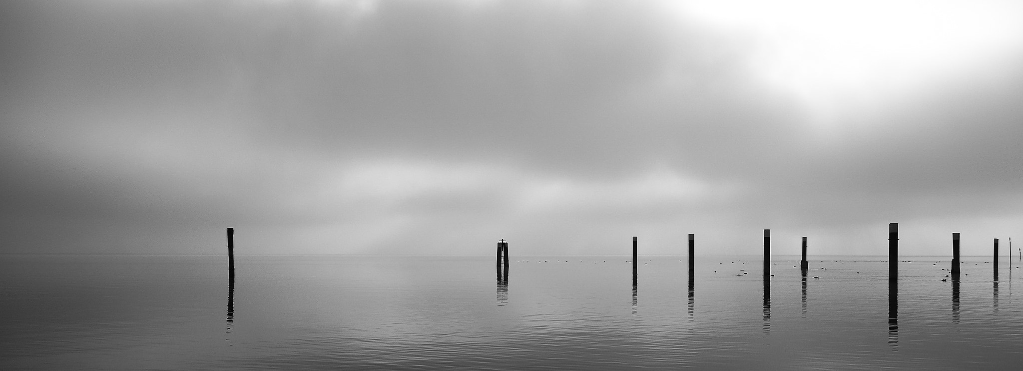 Olympus OM-D E-M1 + Tamron 14-150mm F3.5-5.8 Di III sample photo. Foggy day on the lake photography
