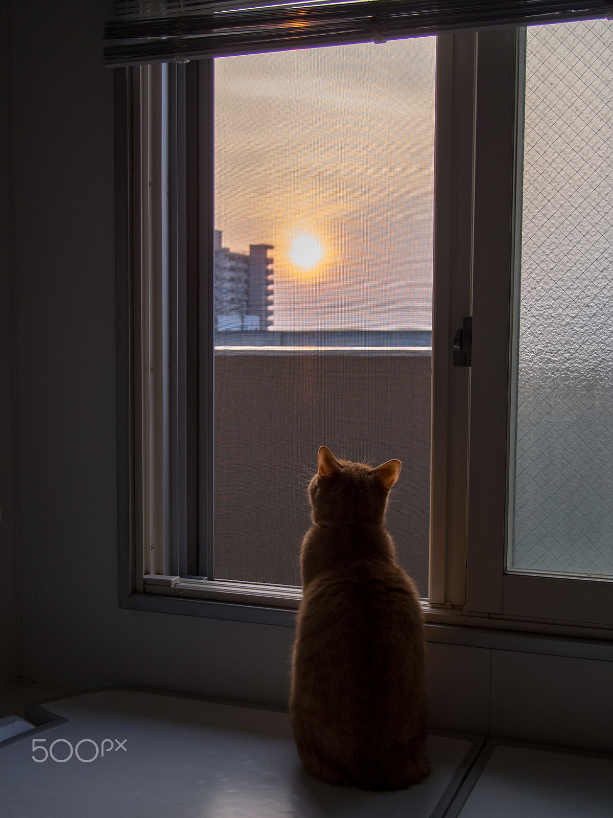 Olympus PEN E-PL5 sample photo. Sunset photography