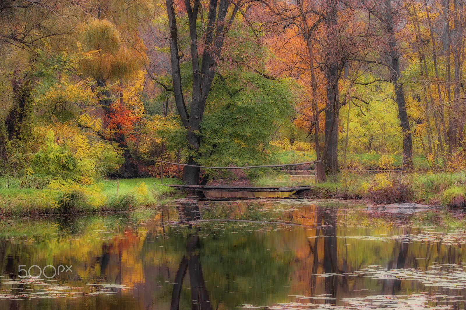 Sony ILCA-77M2 sample photo. Bridge on the lake photography