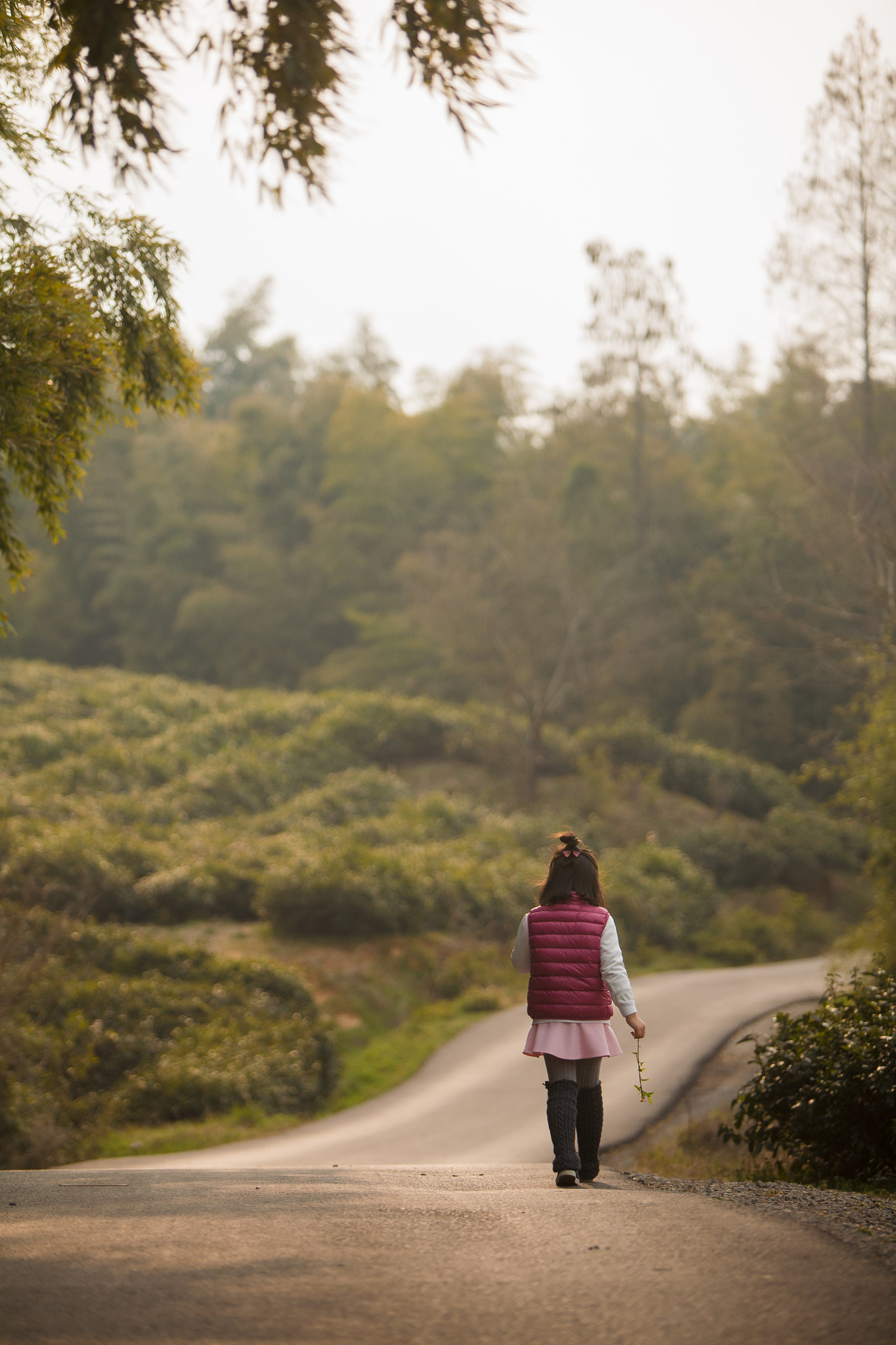 Canon EF 70-200mm F2.8L IS USM sample photo