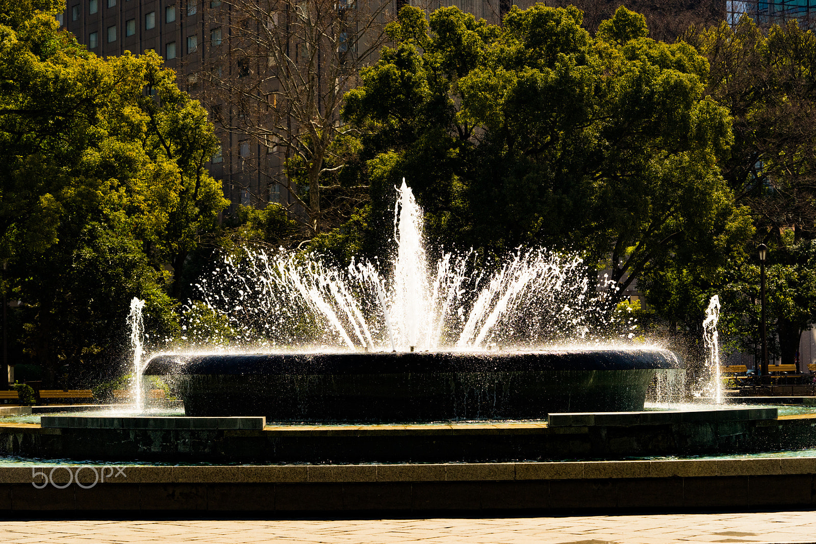 Sony a7 II + Sony FE 90mm F2.8 Macro G OSS sample photo. Dsc00788.arw photography