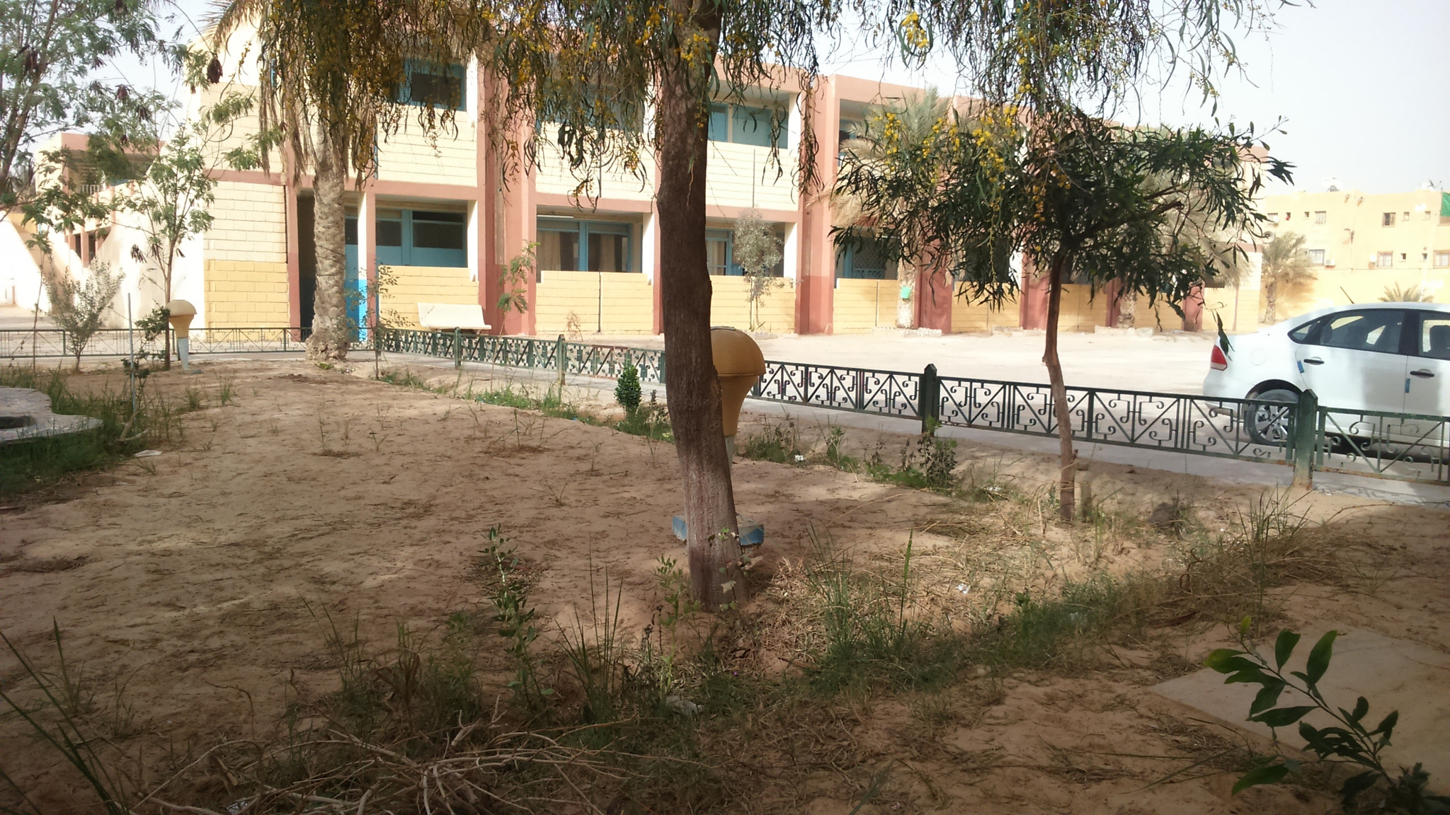 Sony Xperia M2 sample photo. Rtg  photography