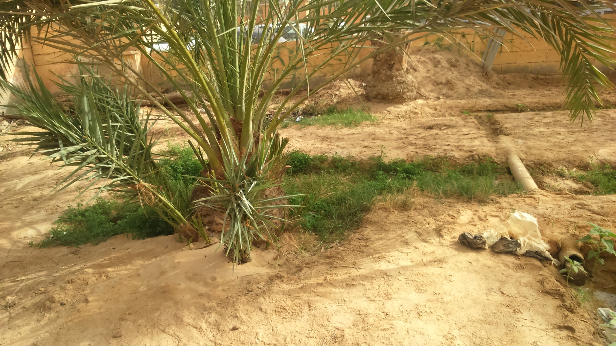 Sony Xperia M2 sample photo. Opl  photography