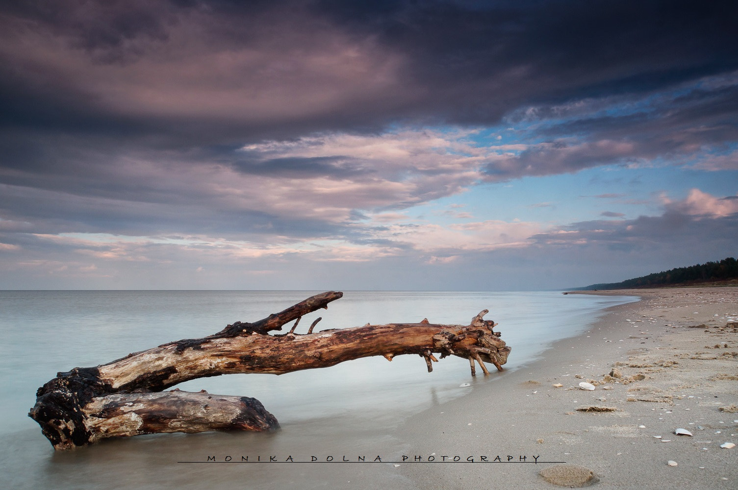 Sony Alpha NEX-6 sample photo. Baltic sea photography